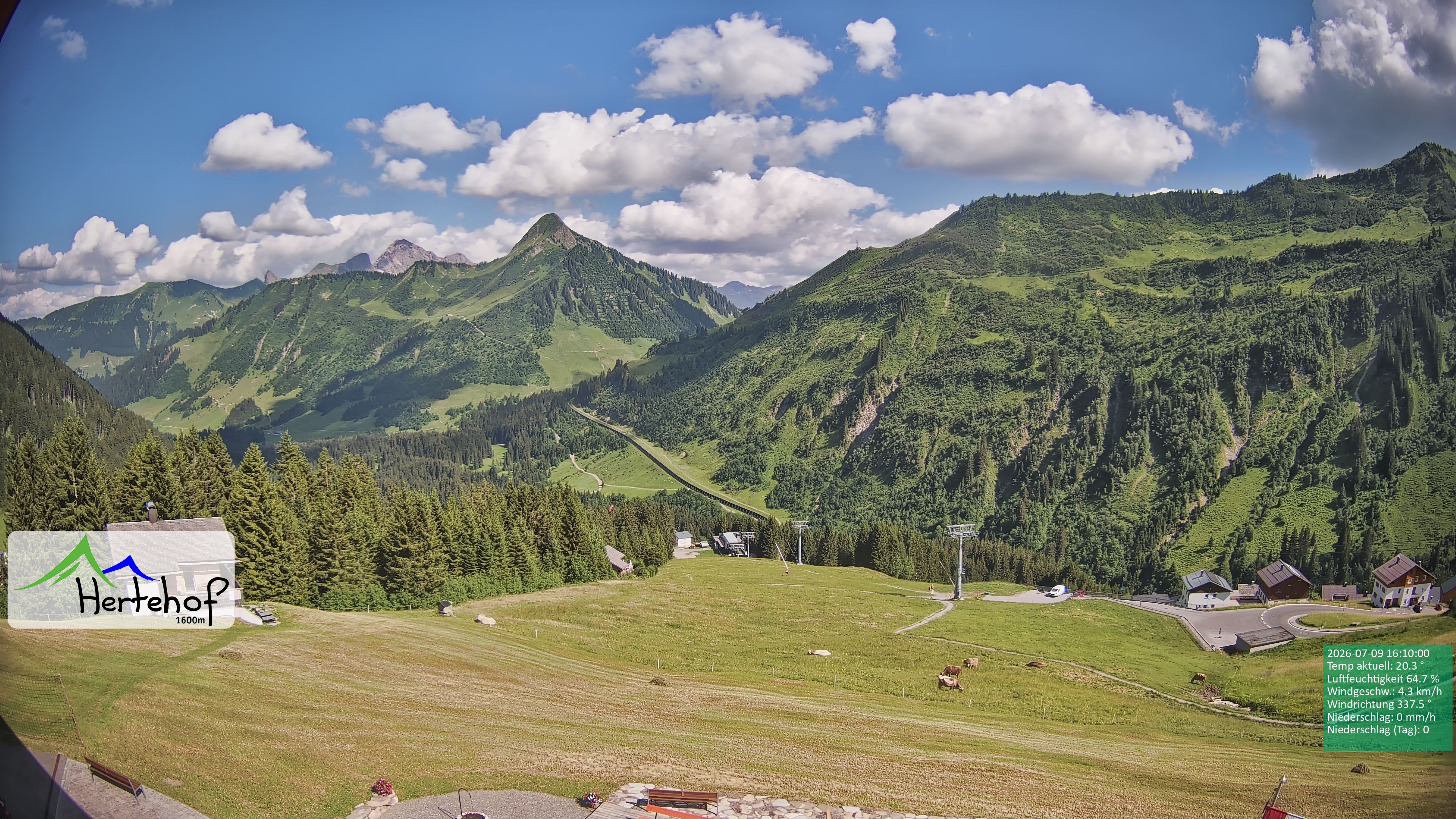 Archiv Foto Webcam Damüls: Blick vom Hertehof