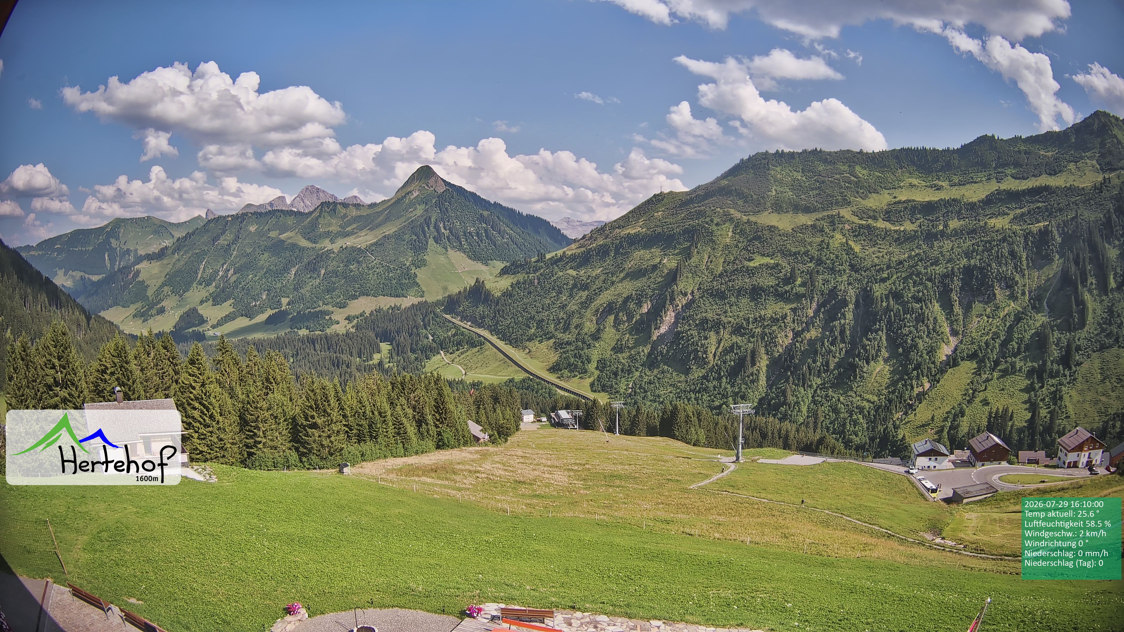 Archiv Foto Webcam Damüls: Blick vom Hertehof