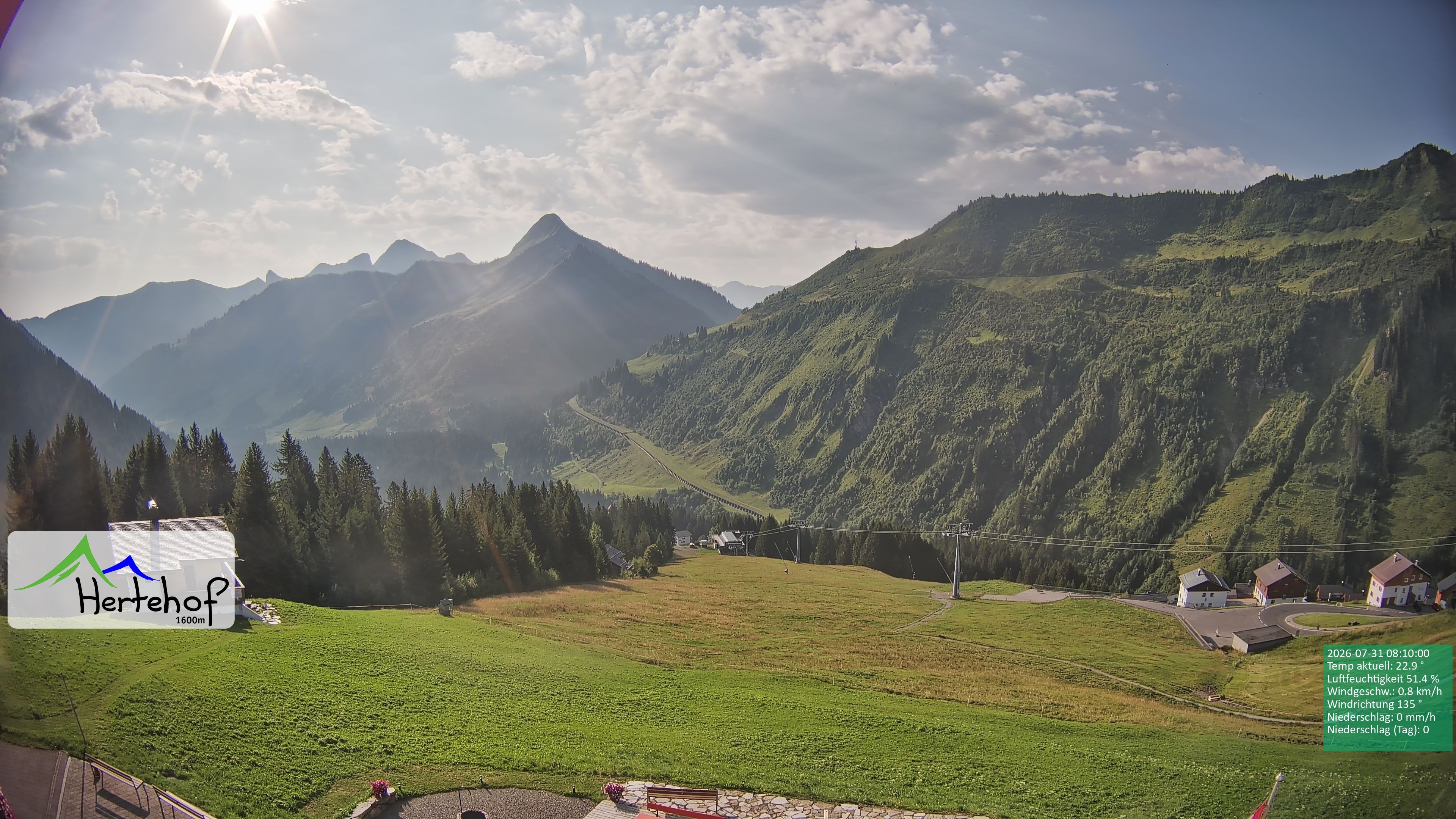 Archiv Foto Webcam Damüls: Blick vom Hertehof