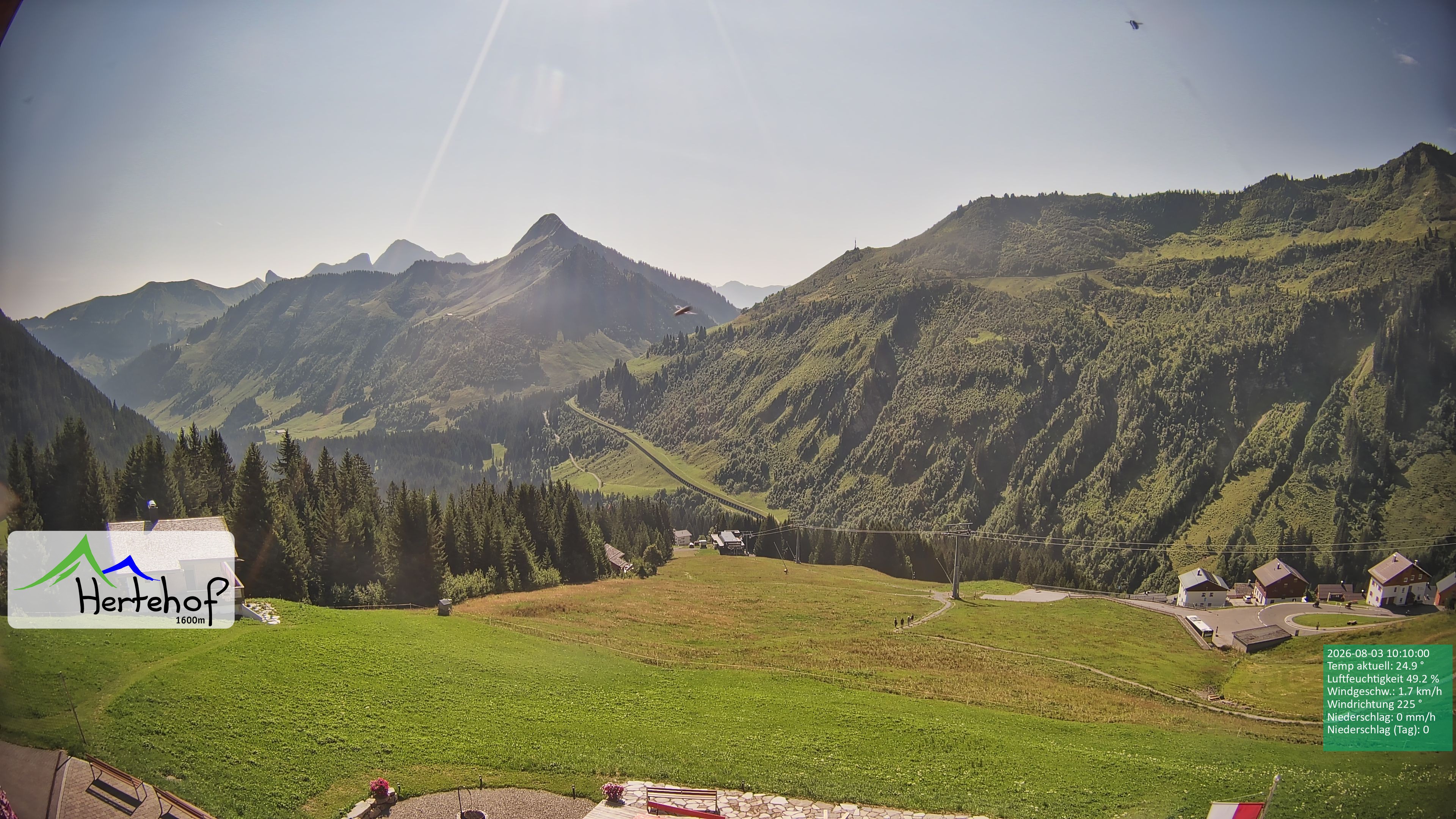 Archiv Foto Webcam Damüls: Blick vom Hertehof
