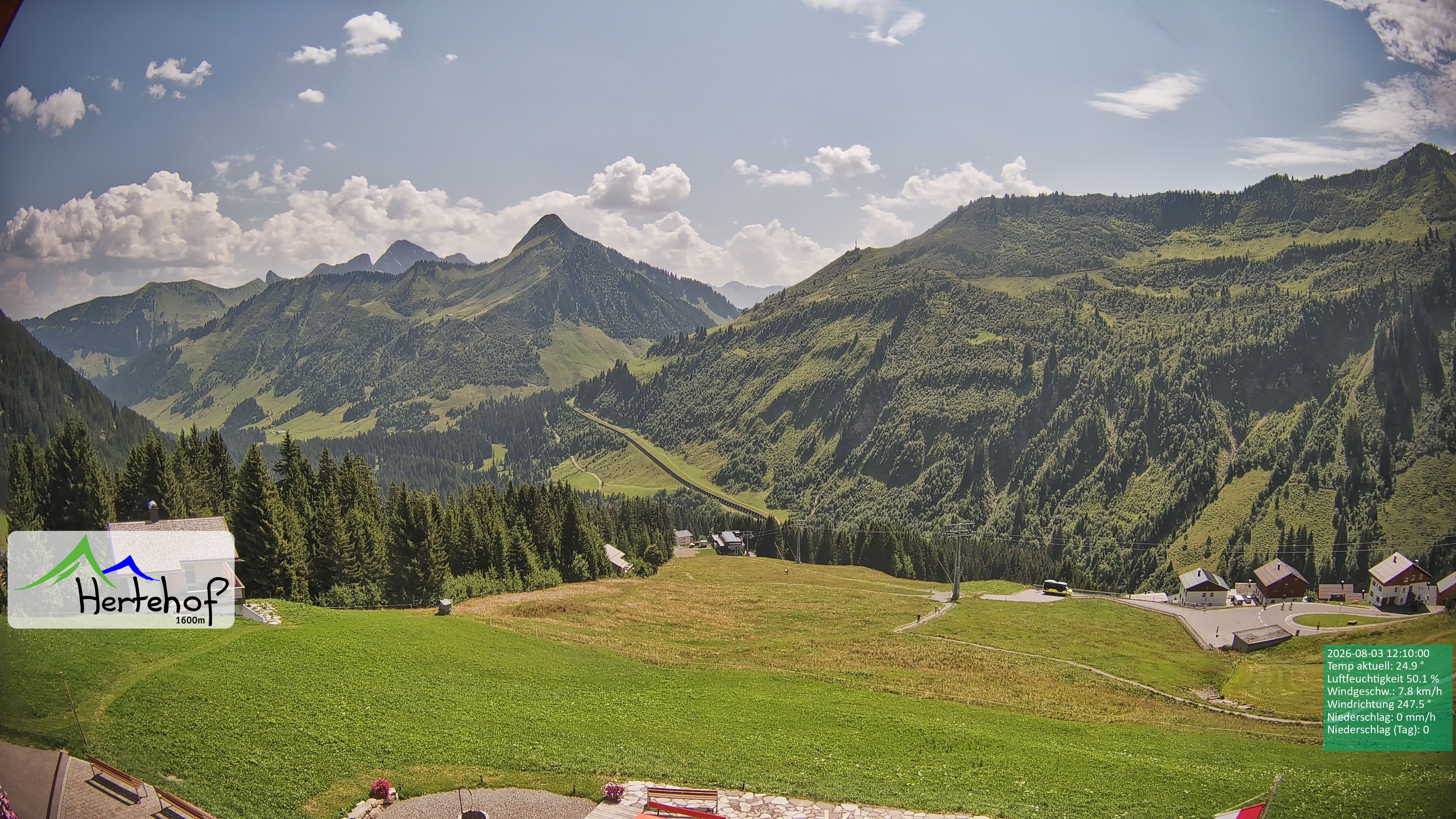 Archiv Foto Webcam Damüls: Blick vom Hertehof