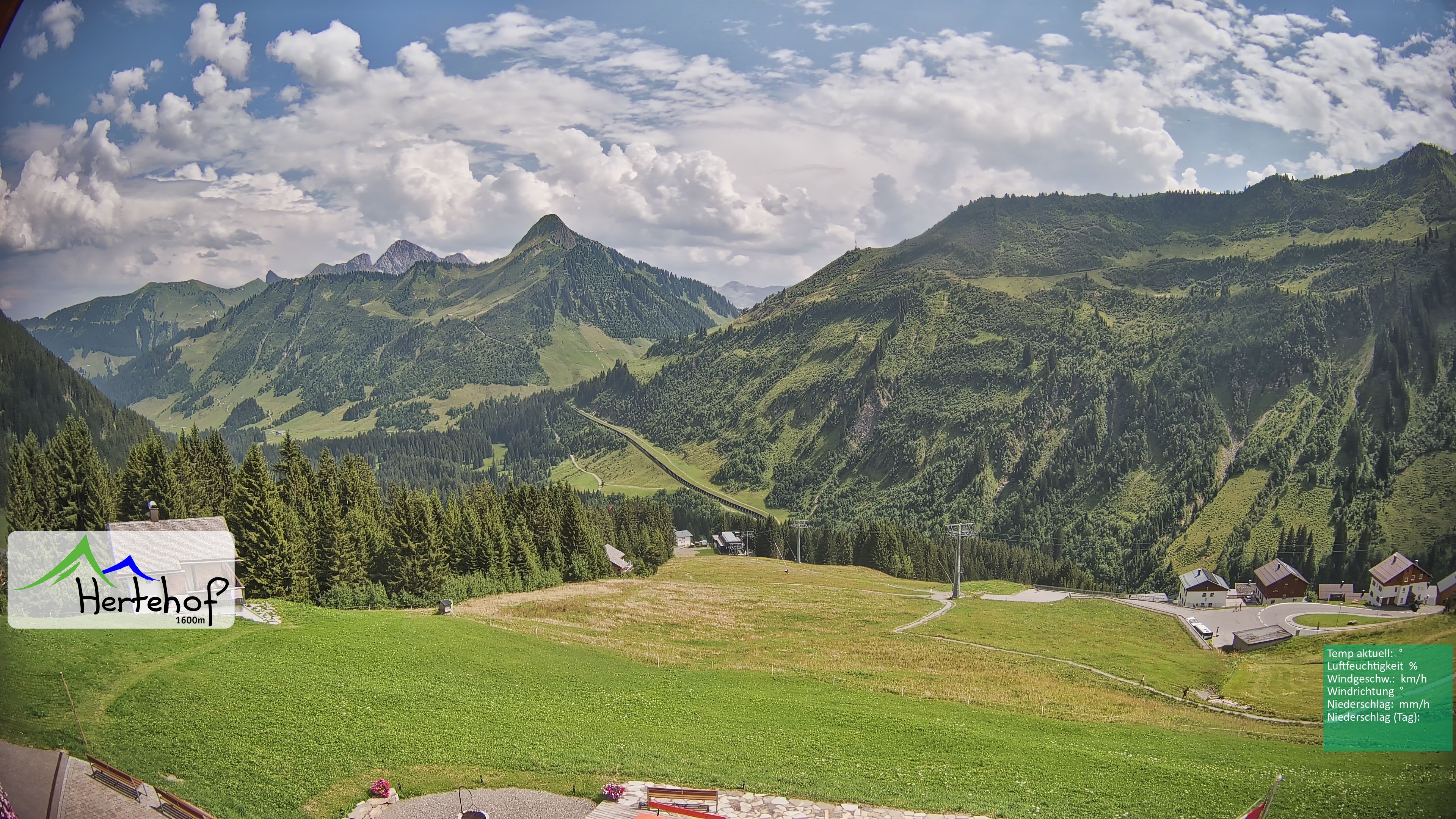Archiv Foto Webcam Damüls: Blick vom Hertehof