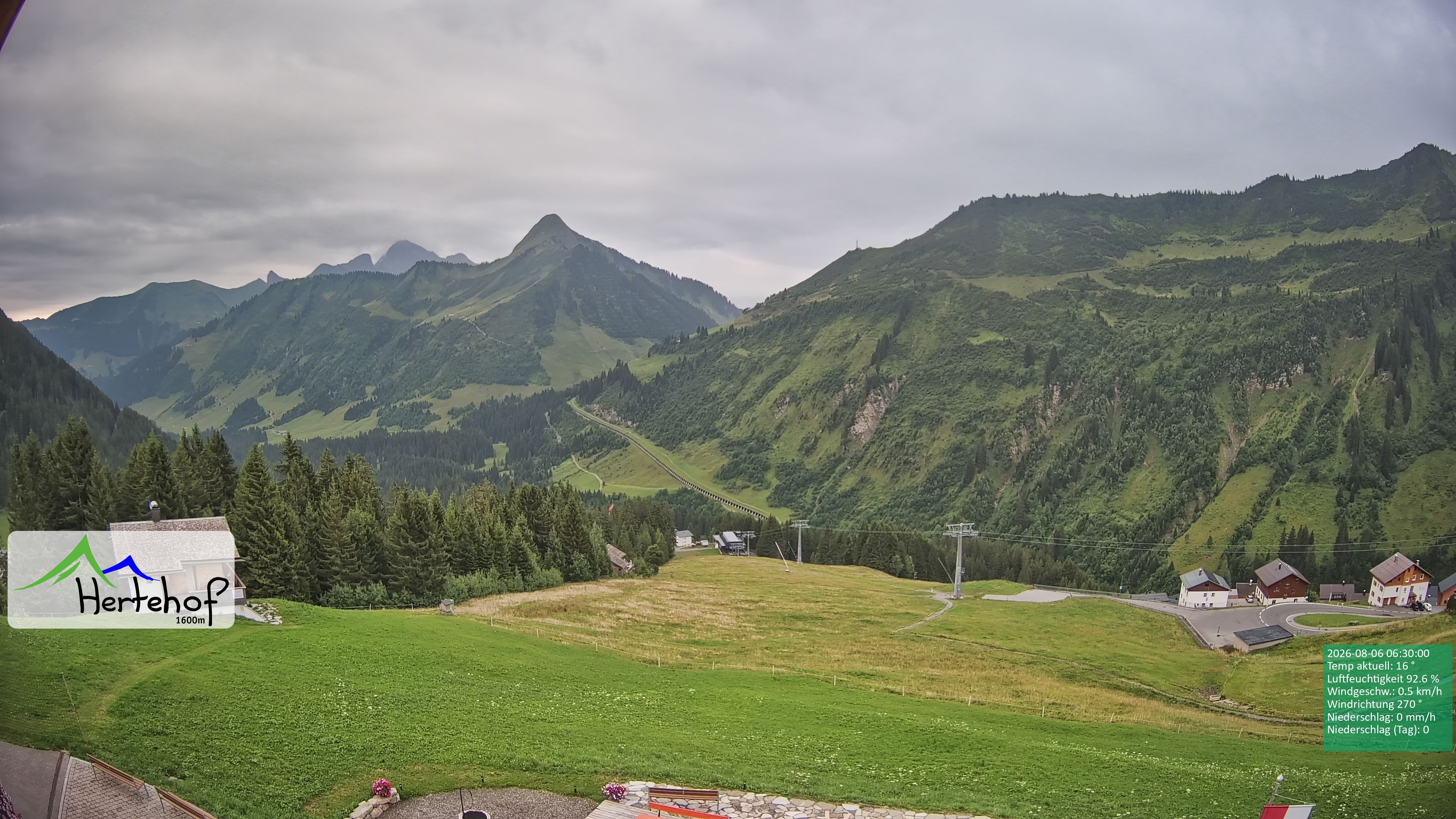 Archiv Foto Webcam Damüls: Blick vom Hertehof