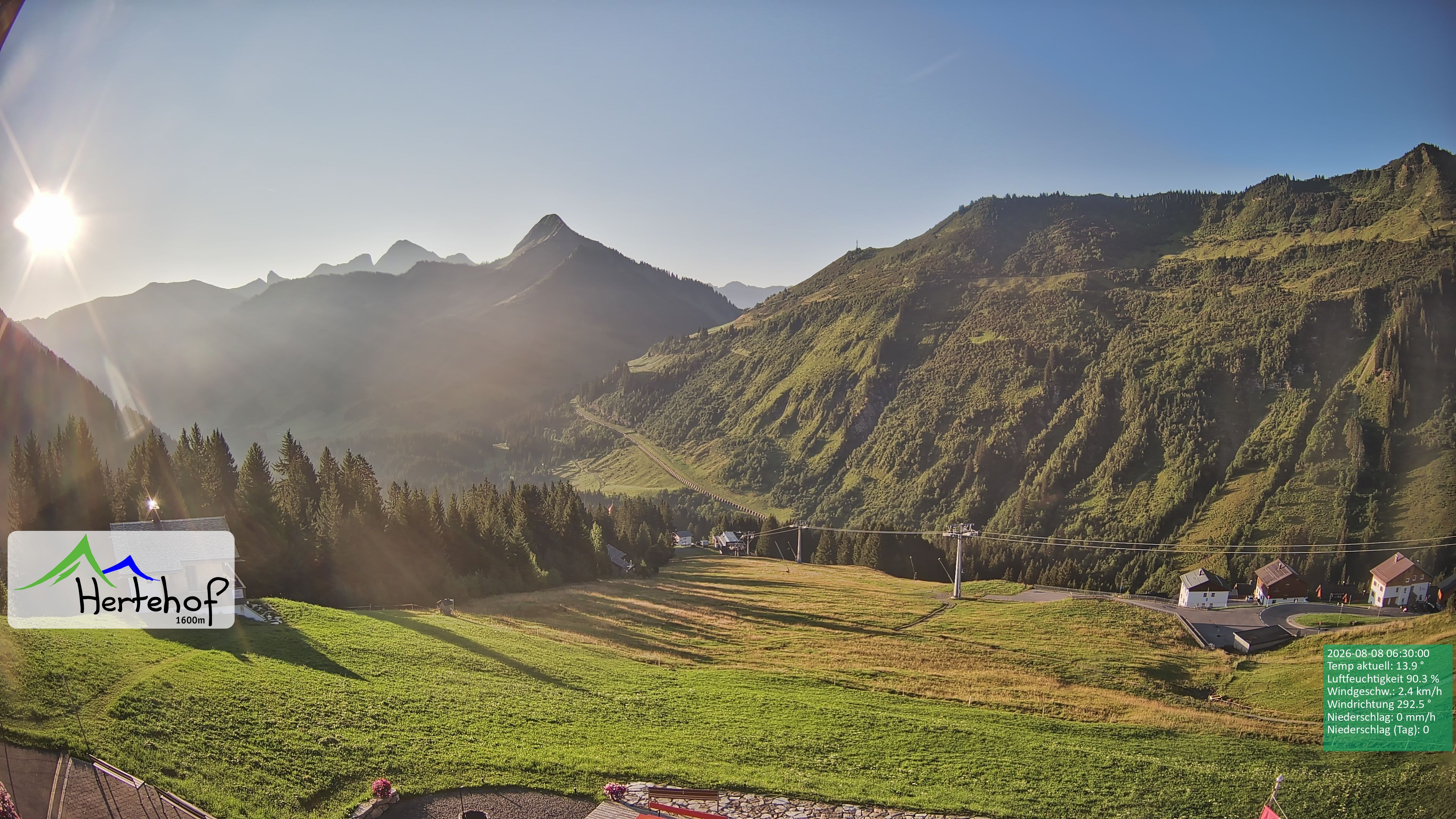 Archiv Foto Webcam Damüls: Blick vom Hertehof