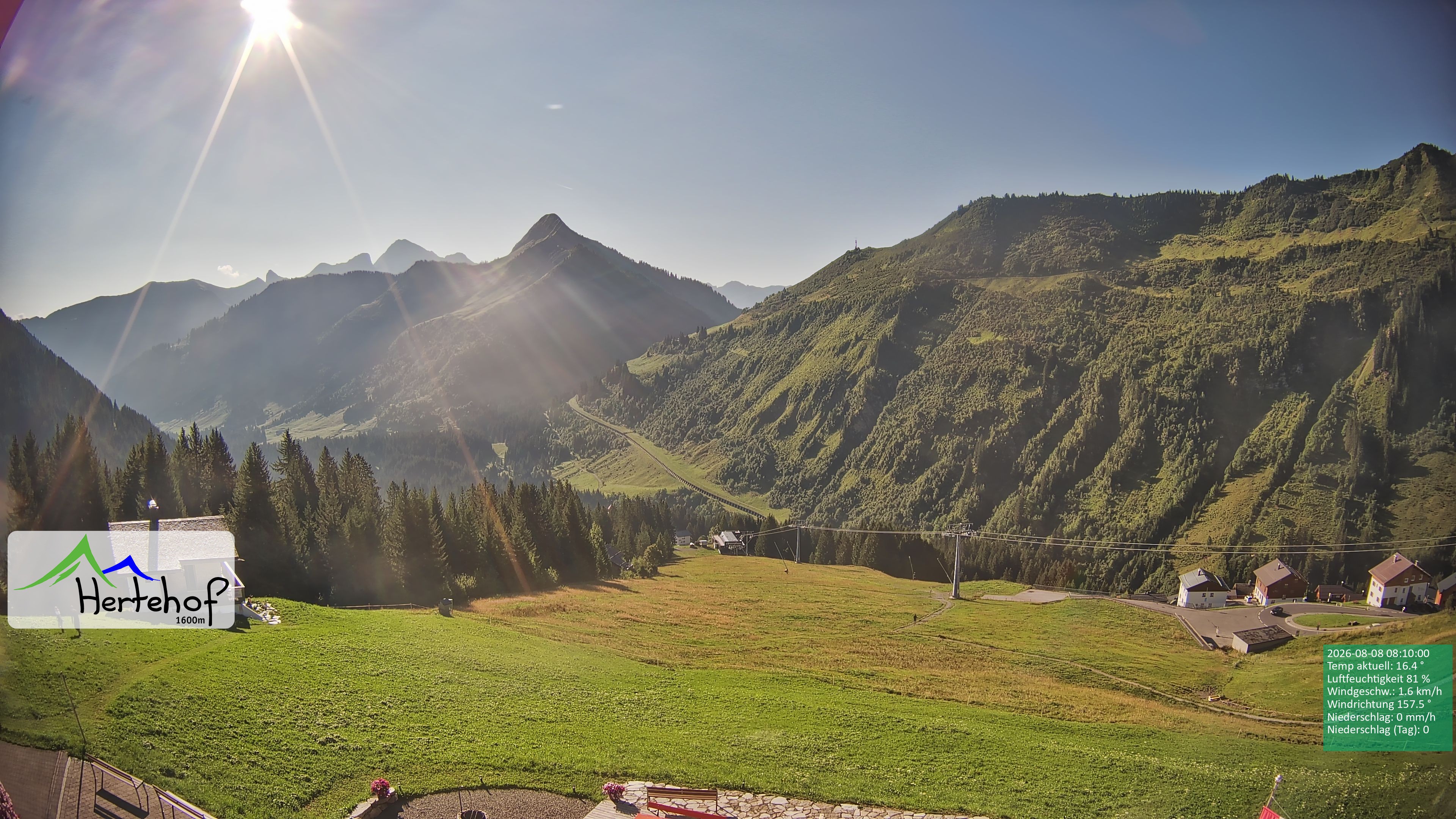 Archiv Foto Webcam Damüls: Blick vom Hertehof