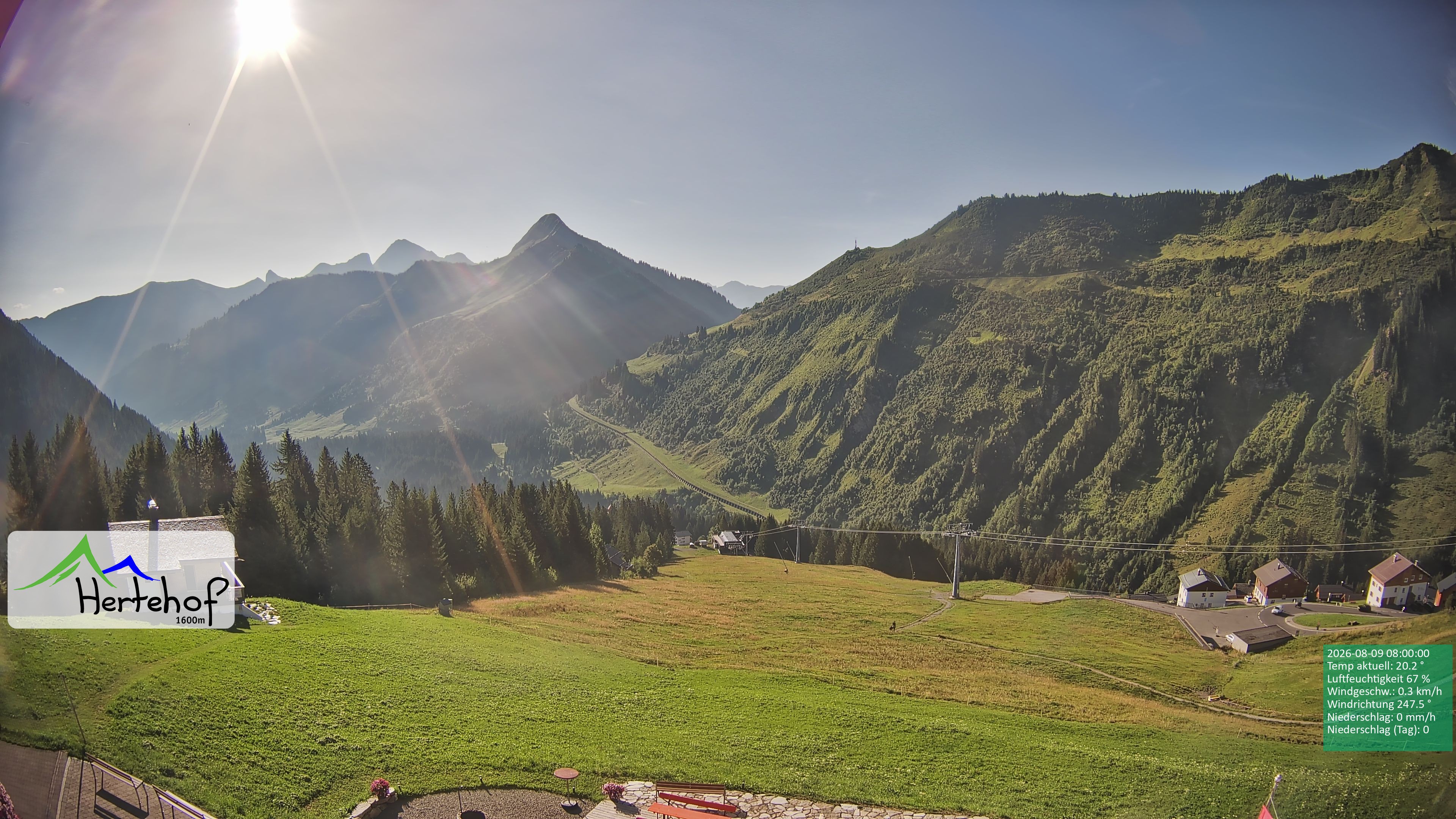 Archiv Foto Webcam Damüls: Blick vom Hertehof
