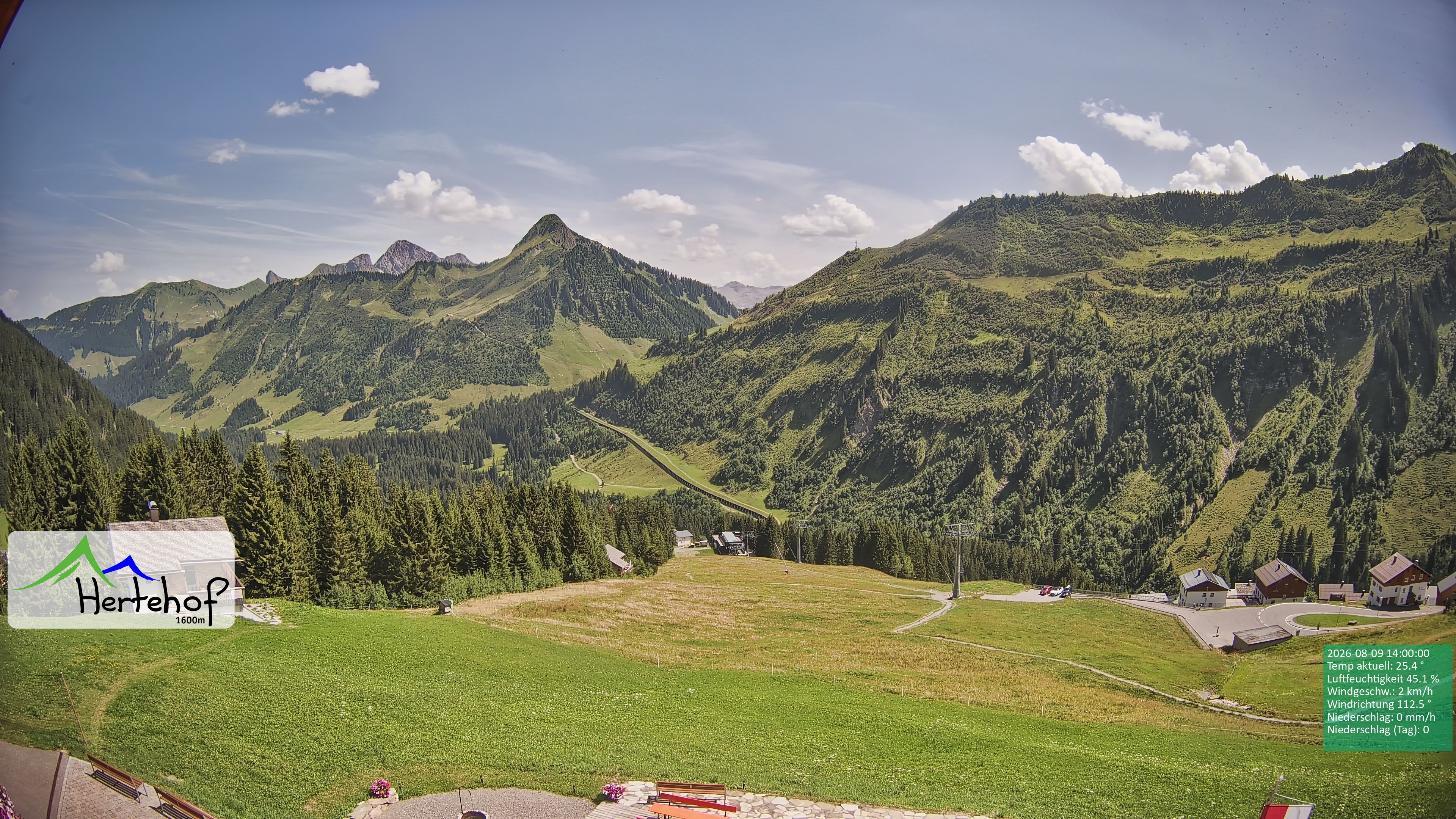 Archiv Foto Webcam Damüls: Blick vom Hertehof