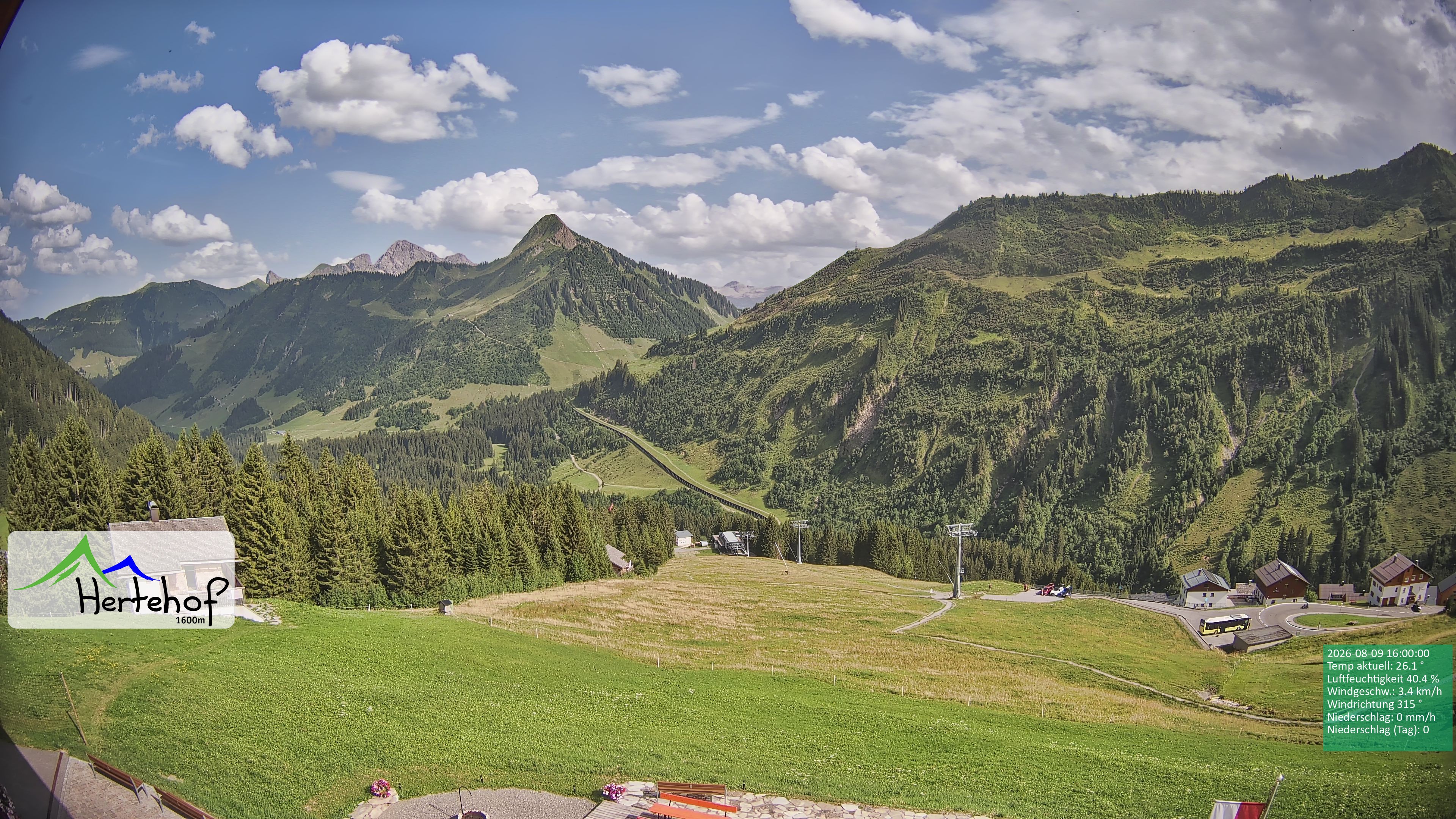 Archiv Foto Webcam Damüls: Blick vom Hertehof