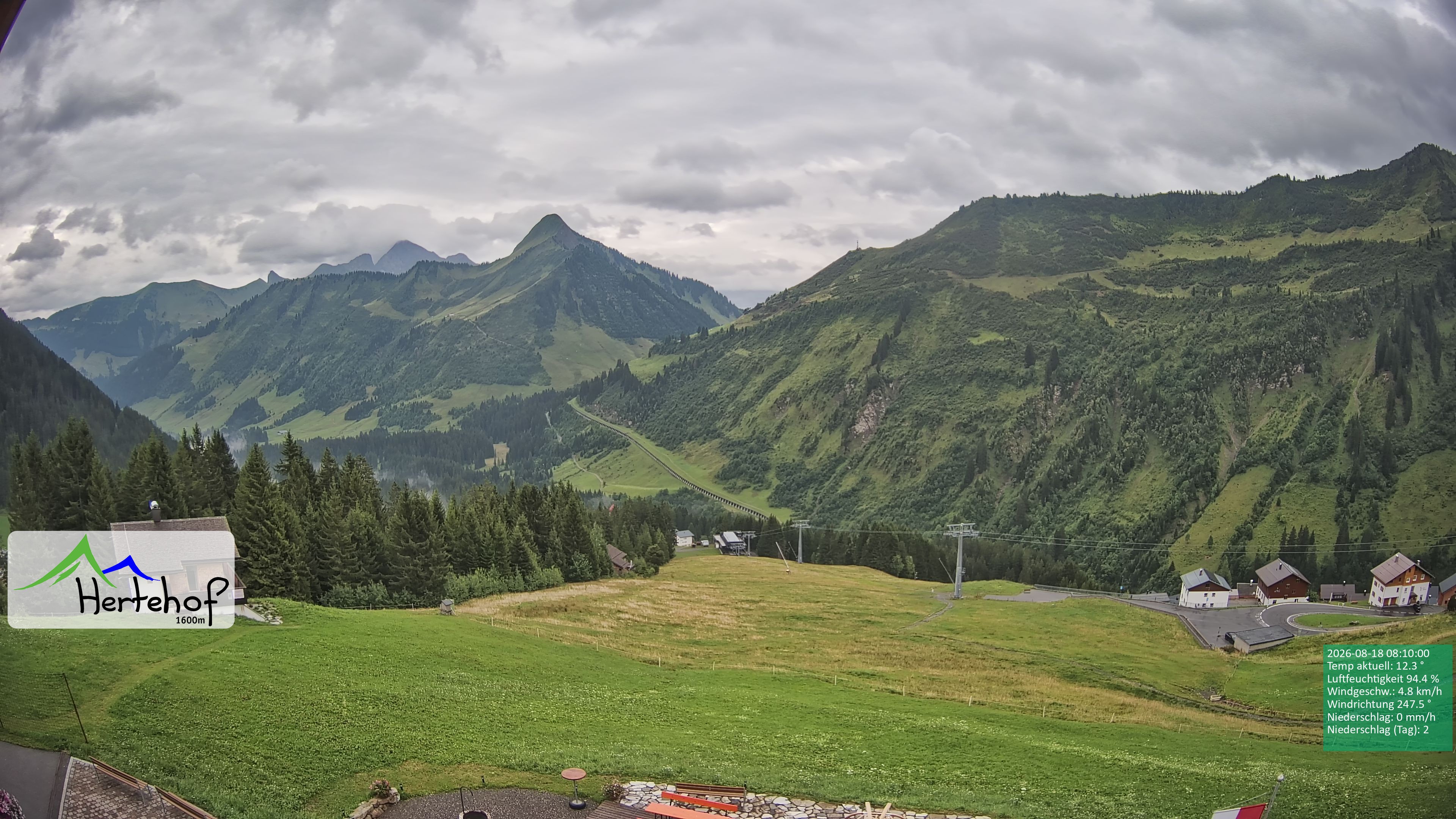 Archiv Foto Webcam Damüls: Blick vom Hertehof