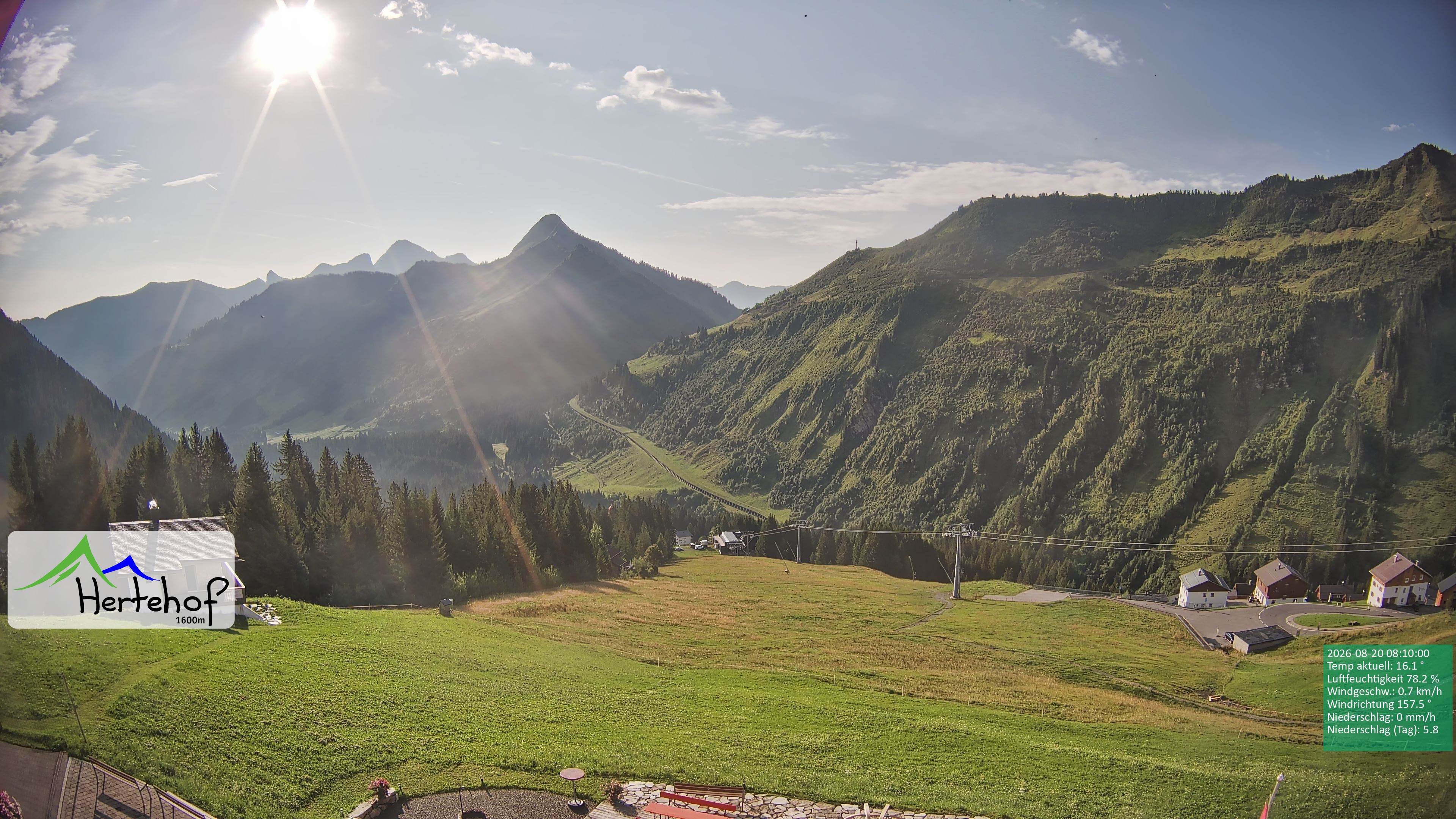 Archiv Foto Webcam Damüls: Blick vom Hertehof