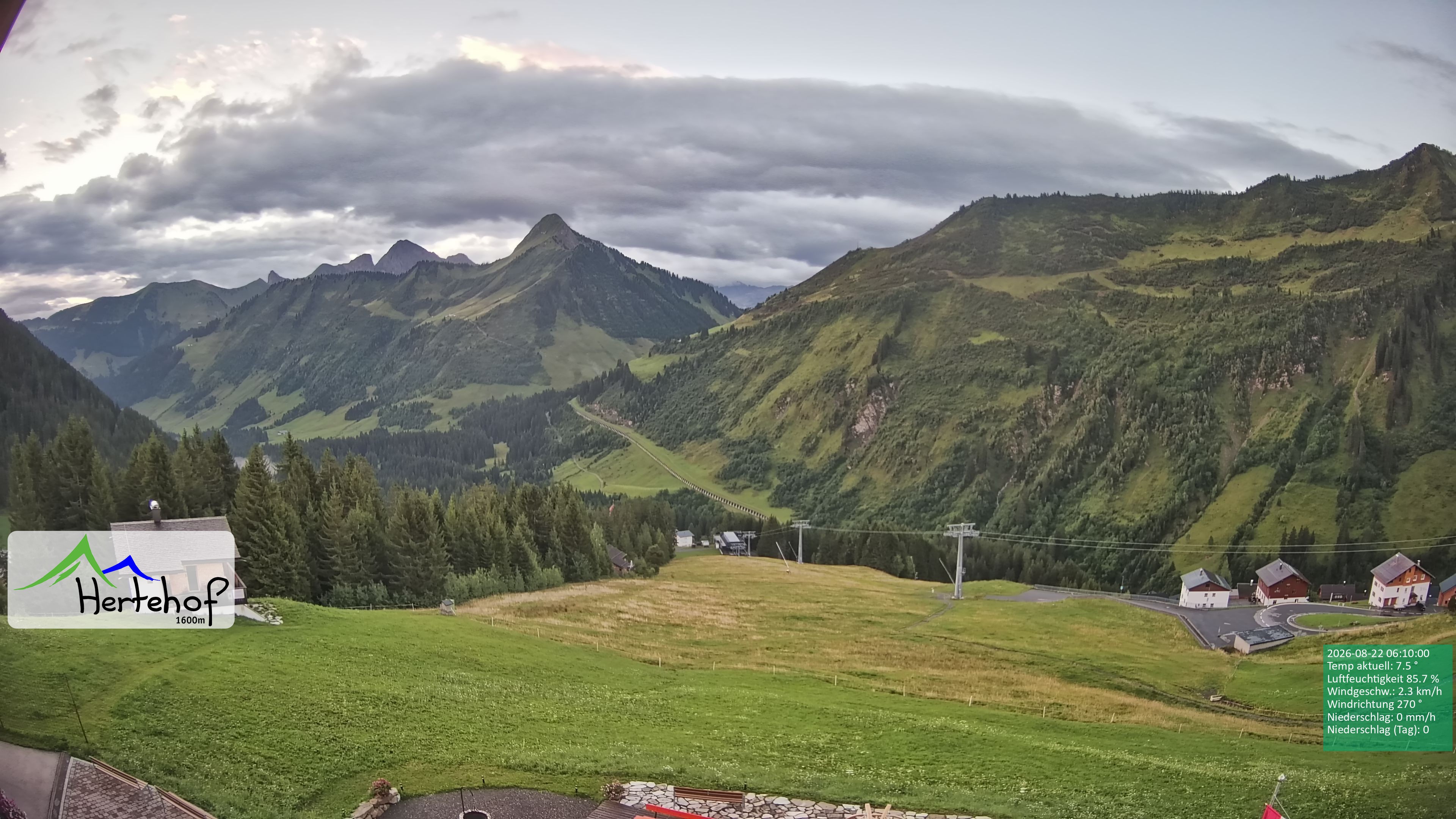 Archiv Foto Webcam Damüls: Blick vom Hertehof