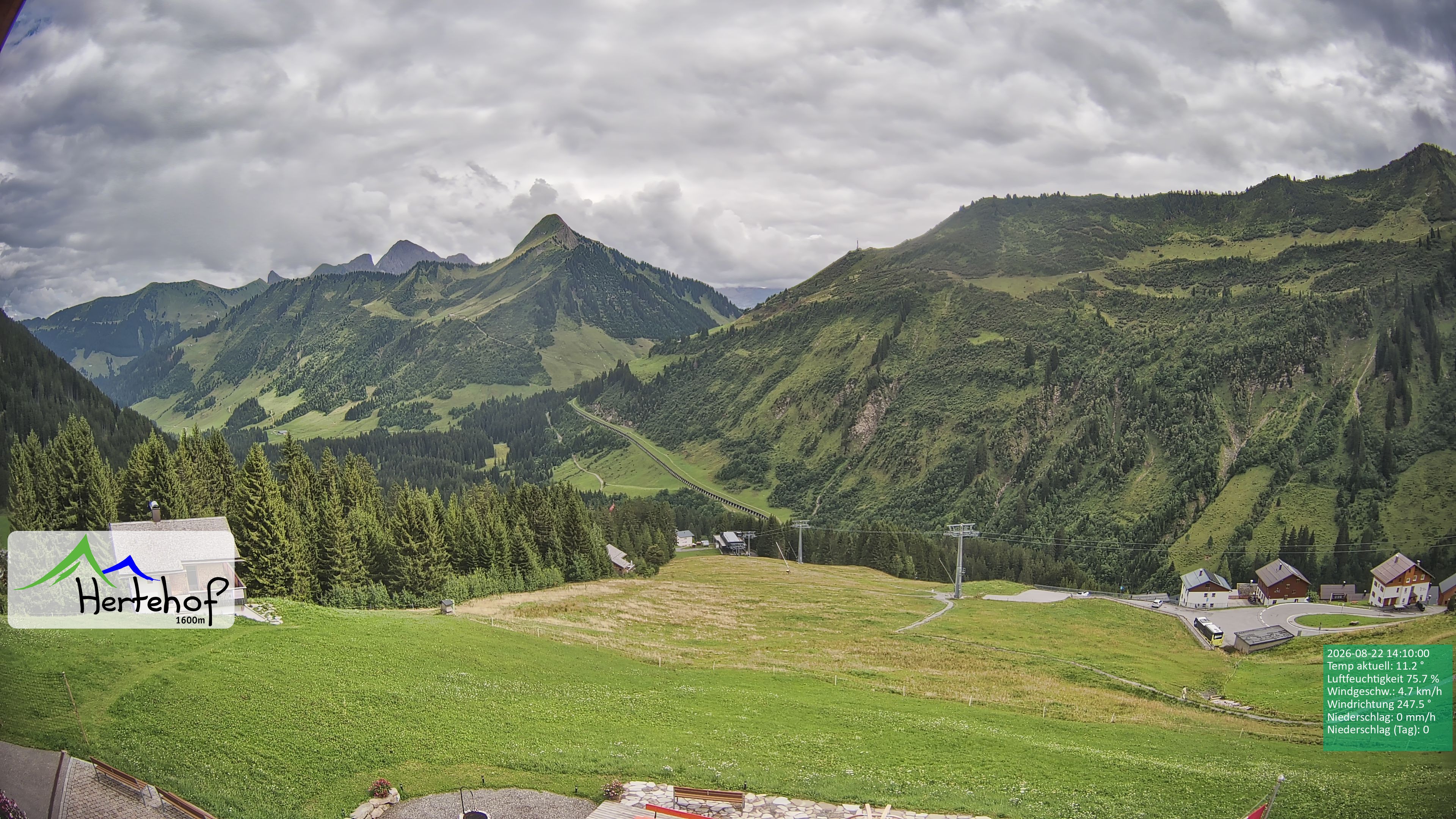 Archiv Foto Webcam Damüls: Blick vom Hertehof