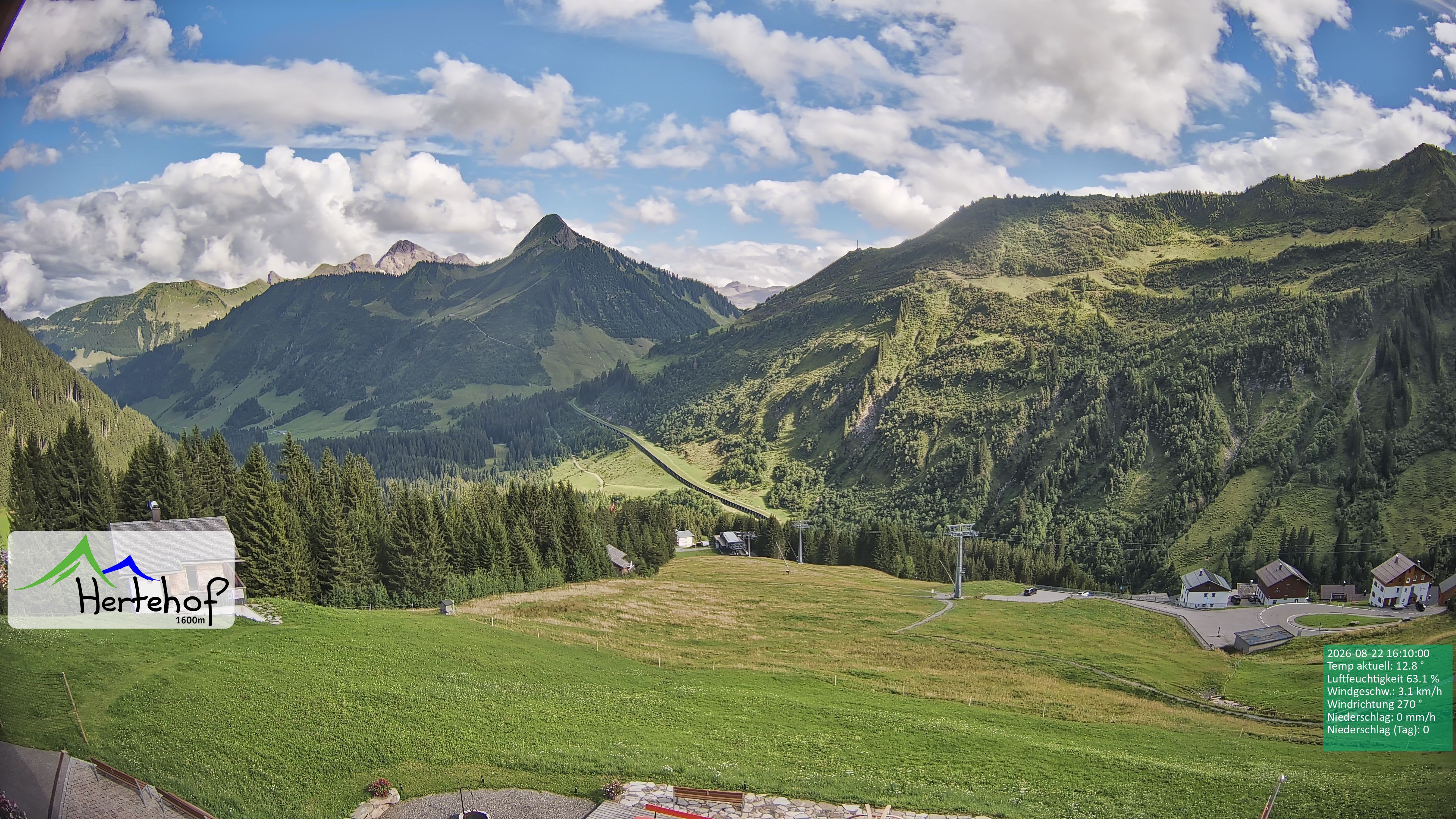 Archiv Foto Webcam Damüls: Blick vom Hertehof