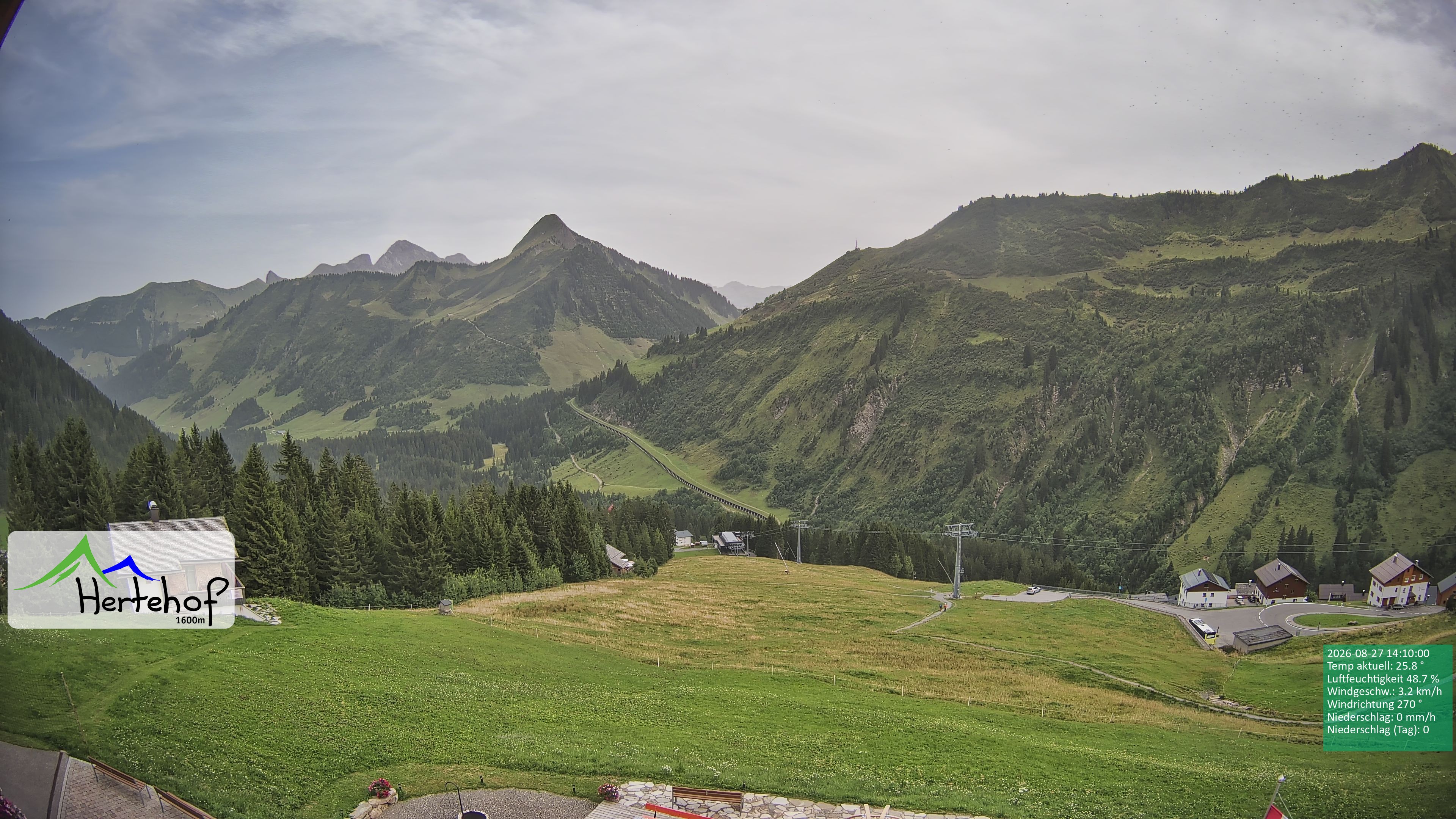 Archiv Foto Webcam Damüls: Blick vom Hertehof