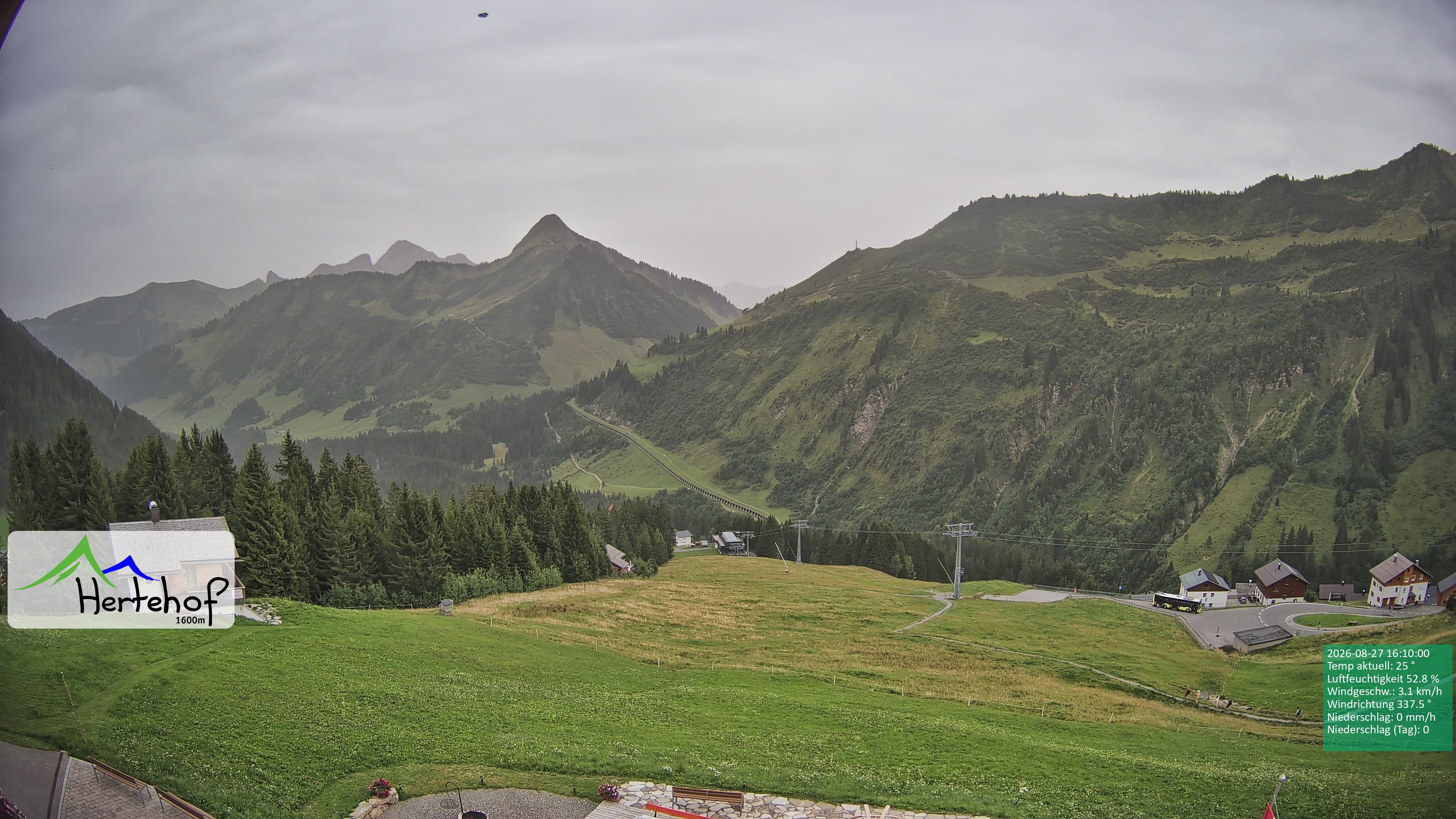 Archiv Foto Webcam Damüls: Blick vom Hertehof