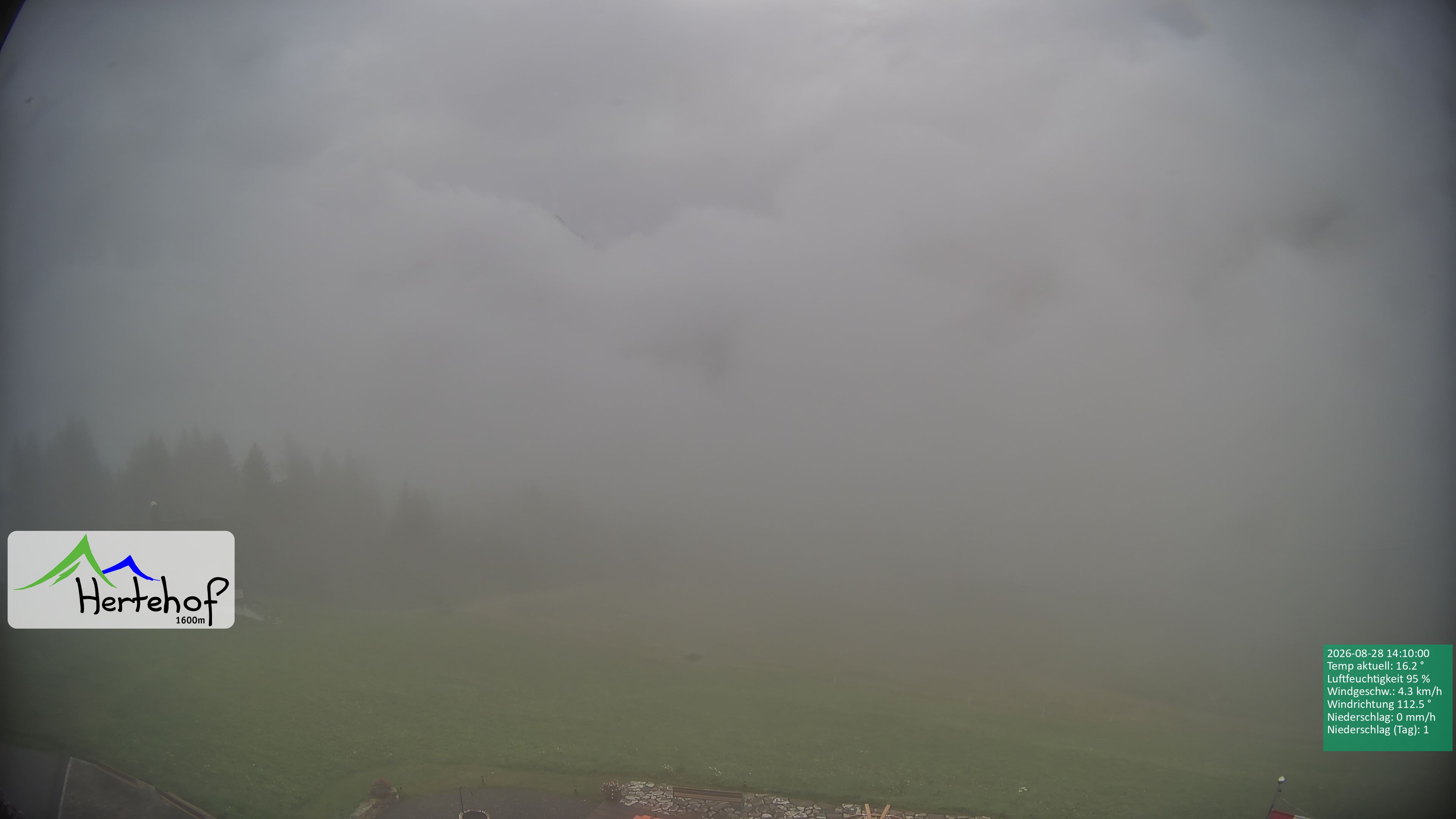 Archiv Foto Webcam Damüls: Blick vom Hertehof