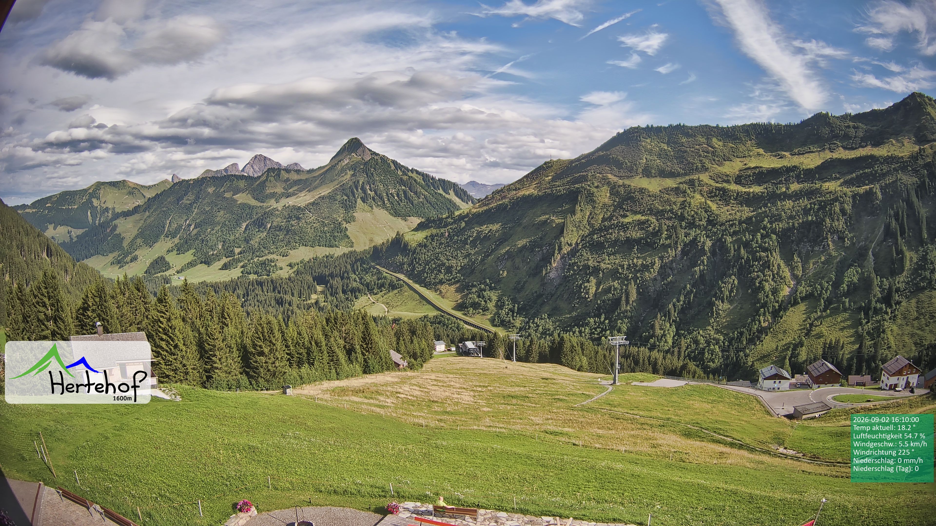 Archiv Foto Webcam Damüls: Blick vom Hertehof