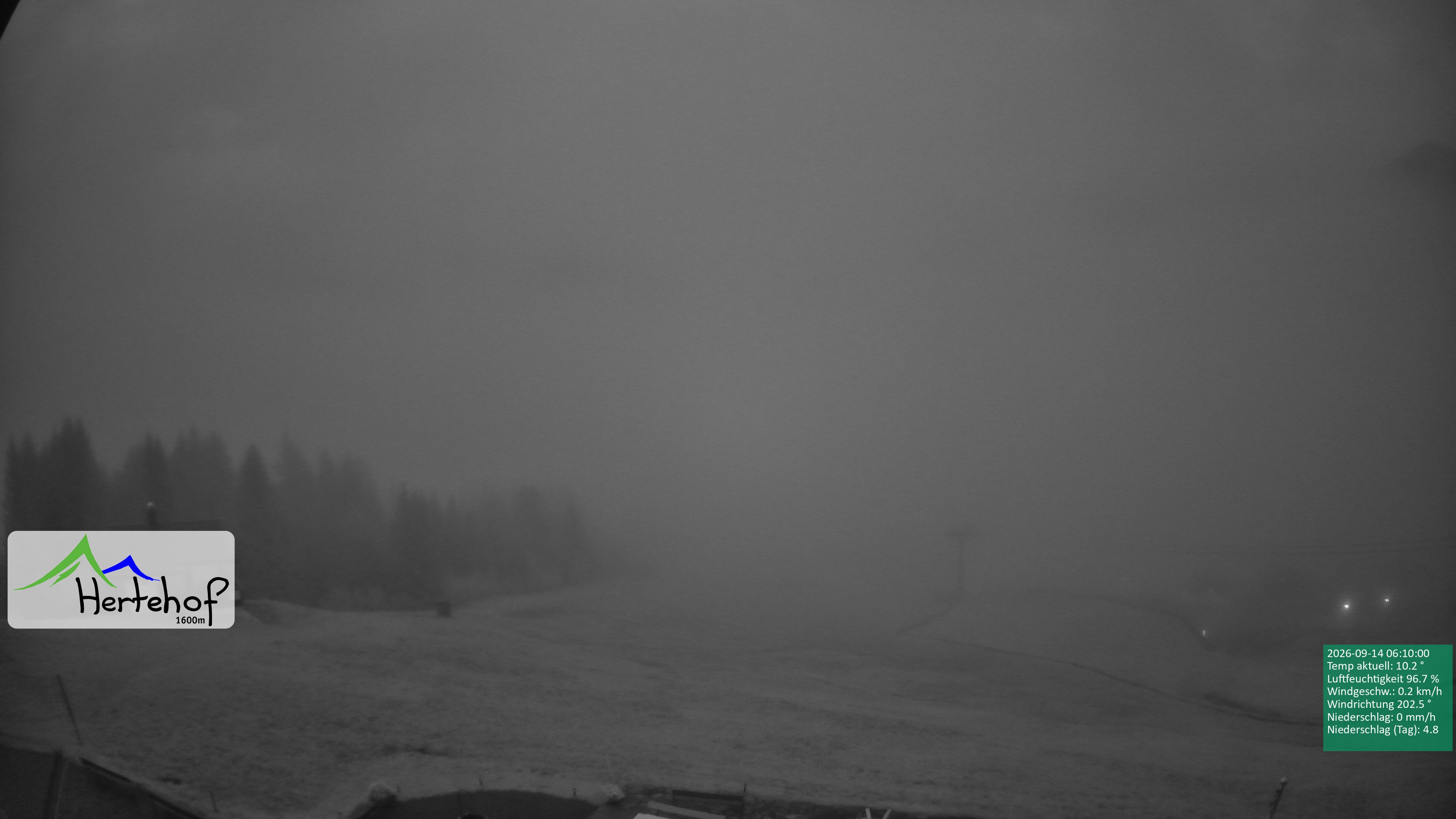 Archiv Foto Webcam Damüls: Blick vom Hertehof