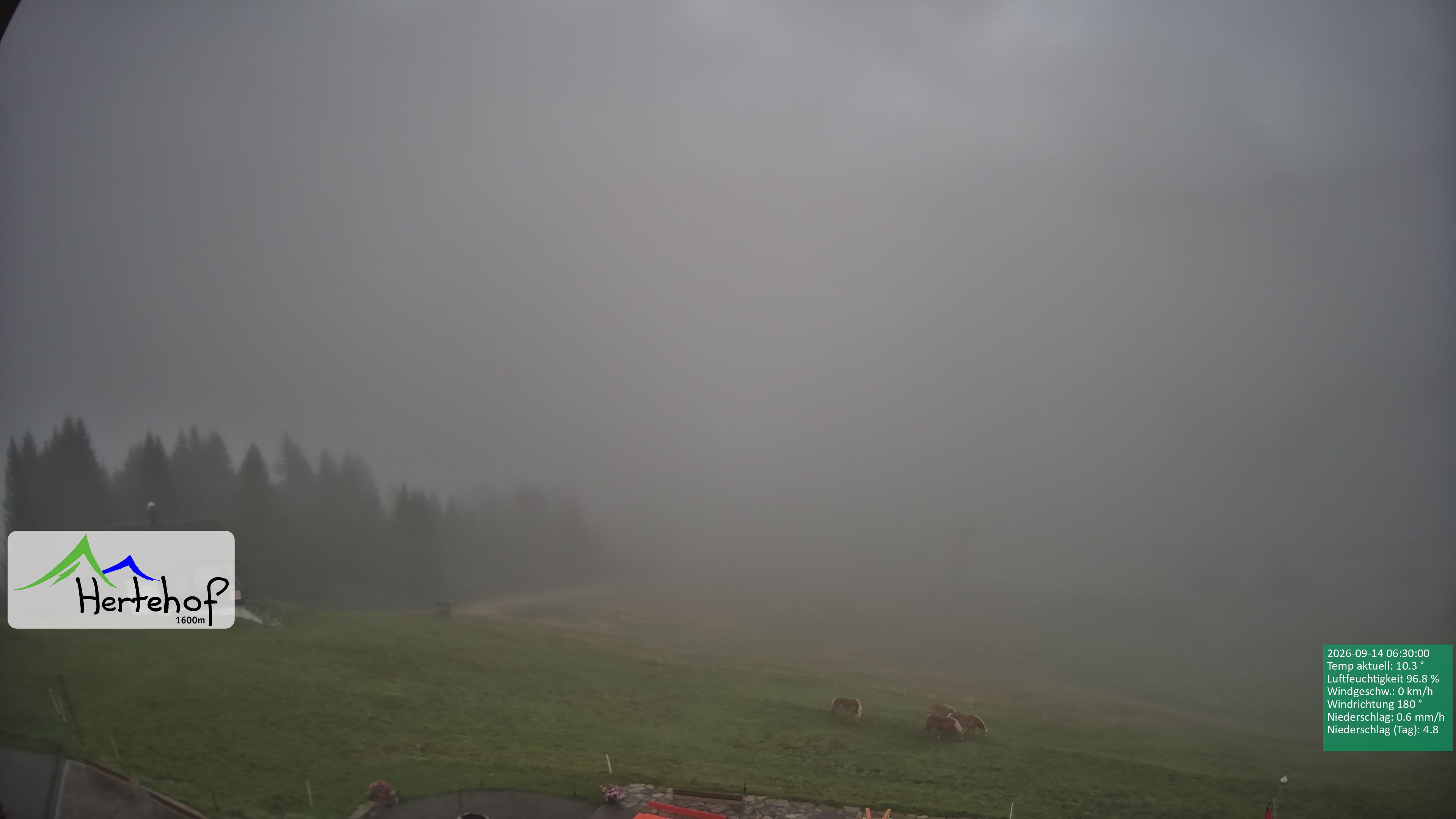 Archiv Foto Webcam Damüls: Blick vom Hertehof