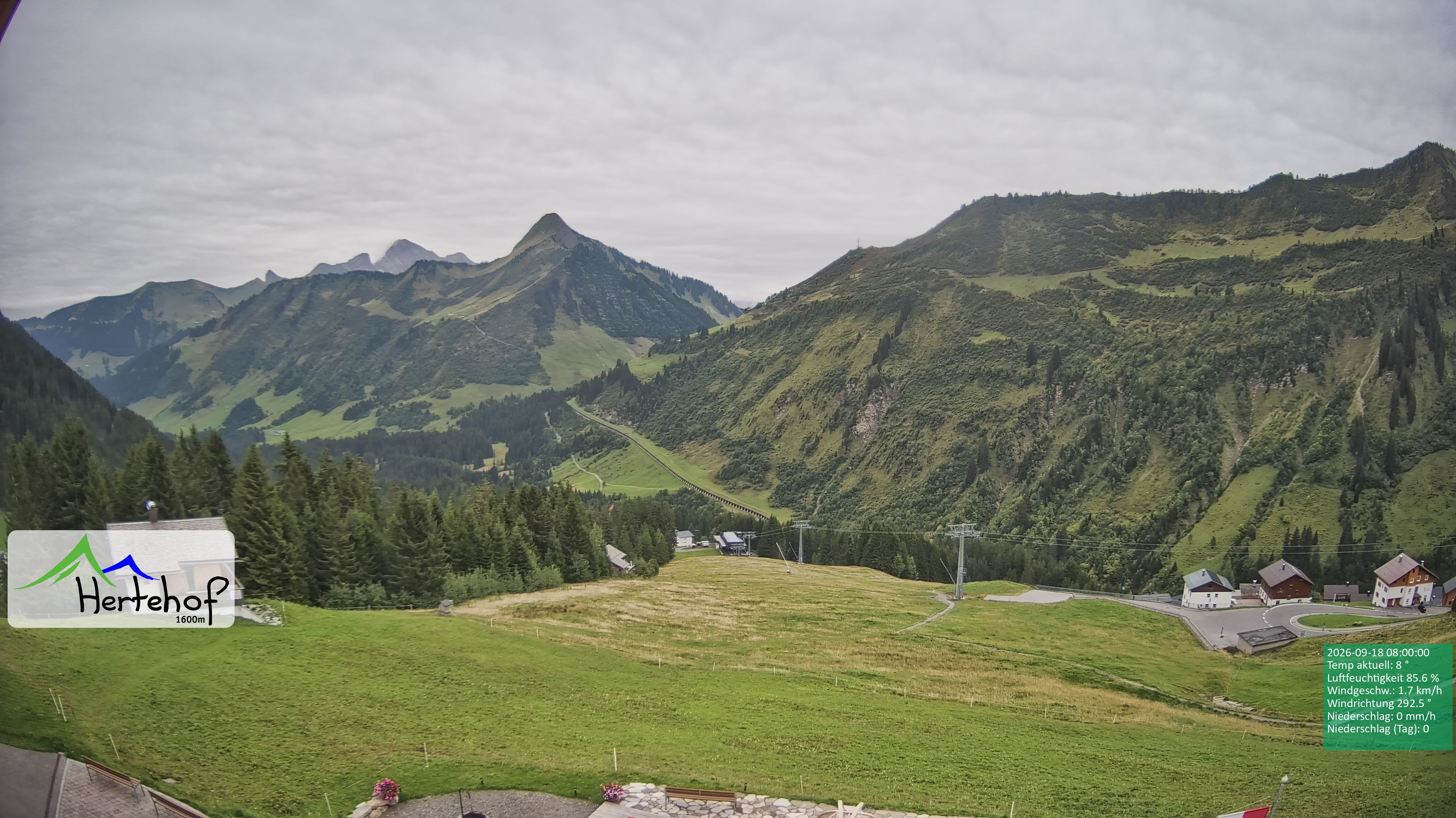 Archiv Foto Webcam Damüls: Blick vom Hertehof