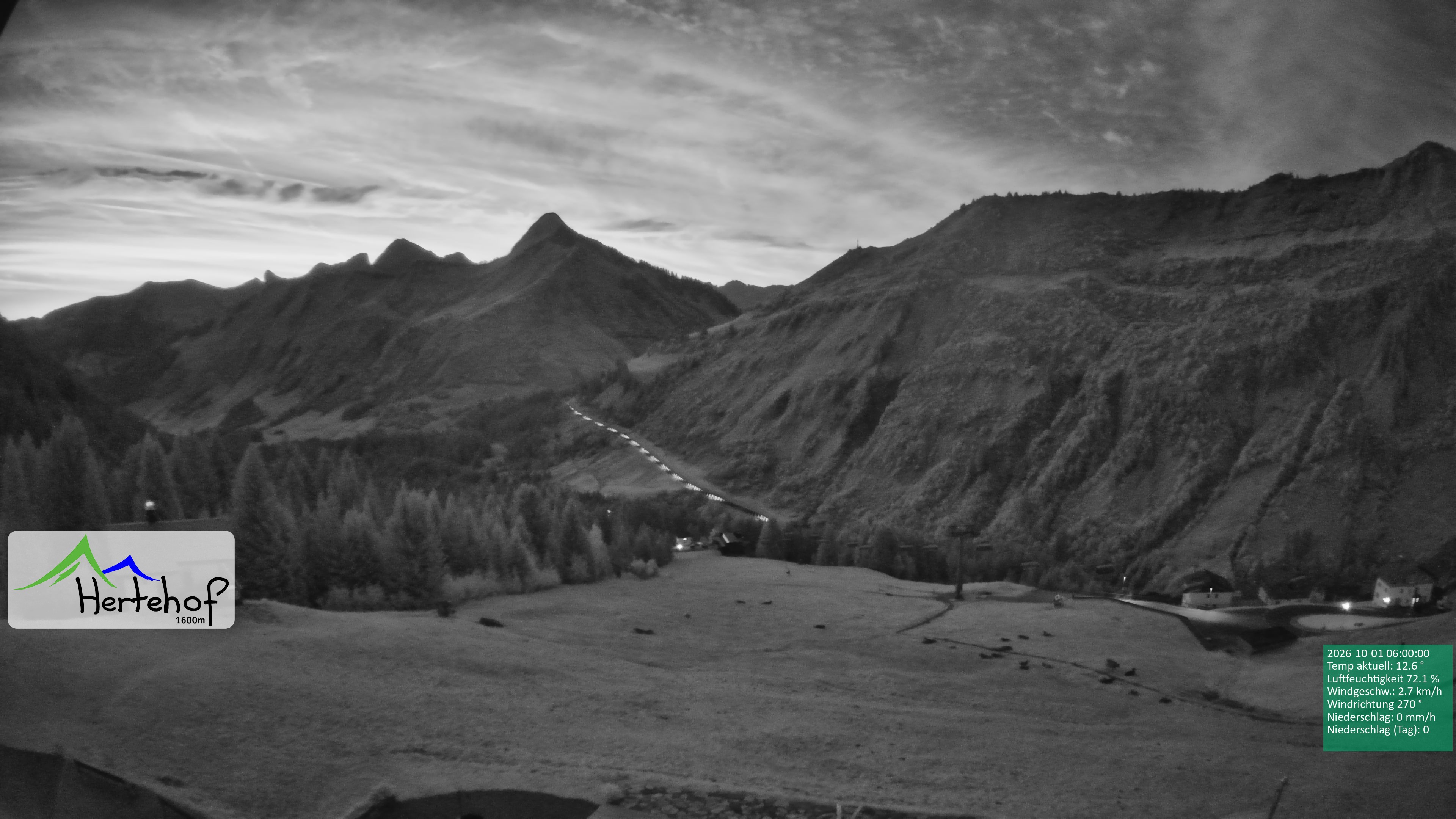 Archiv Foto Webcam Damüls: Blick vom Hertehof
