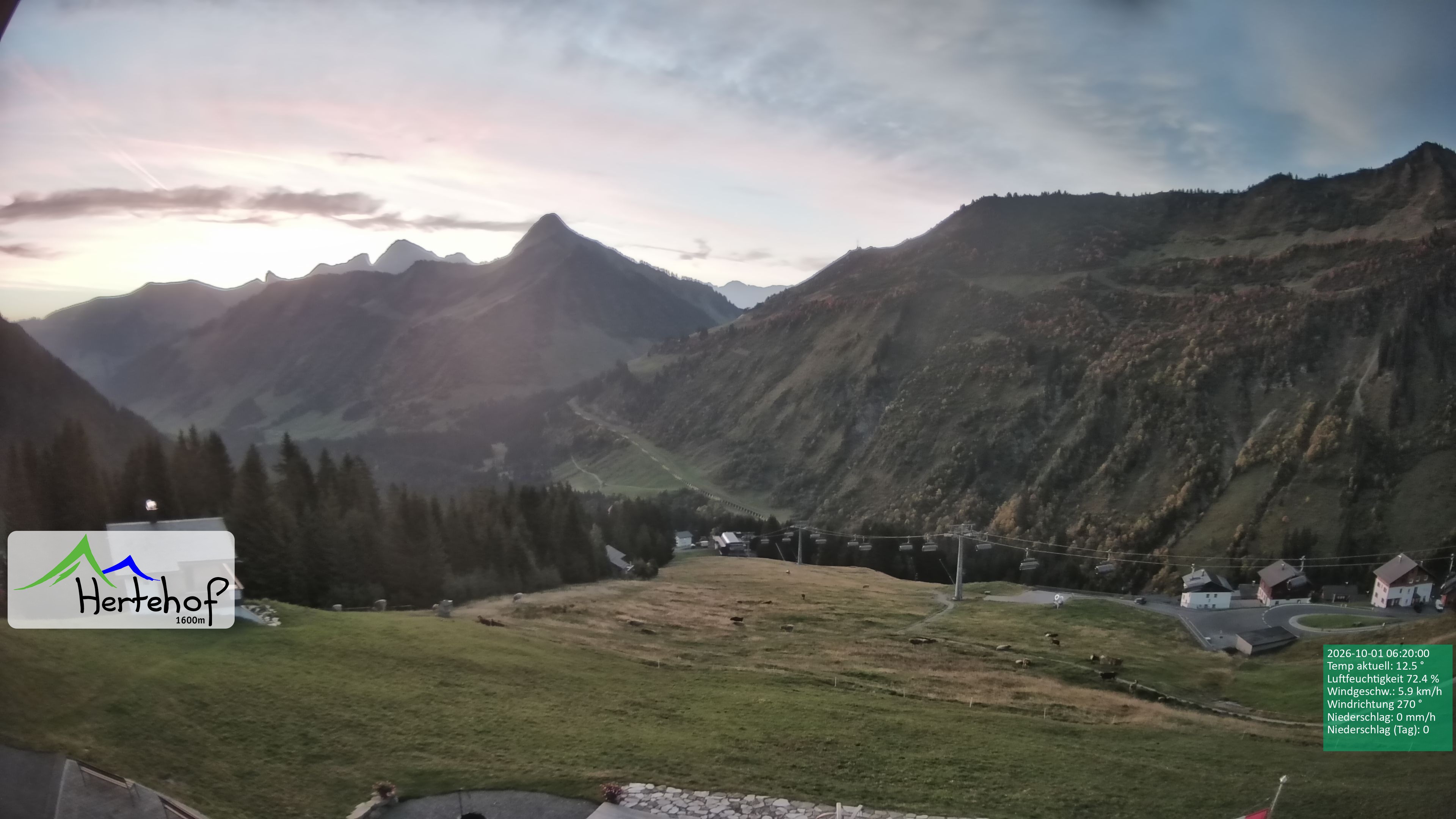 Archiv Foto Webcam Damüls: Blick vom Hertehof