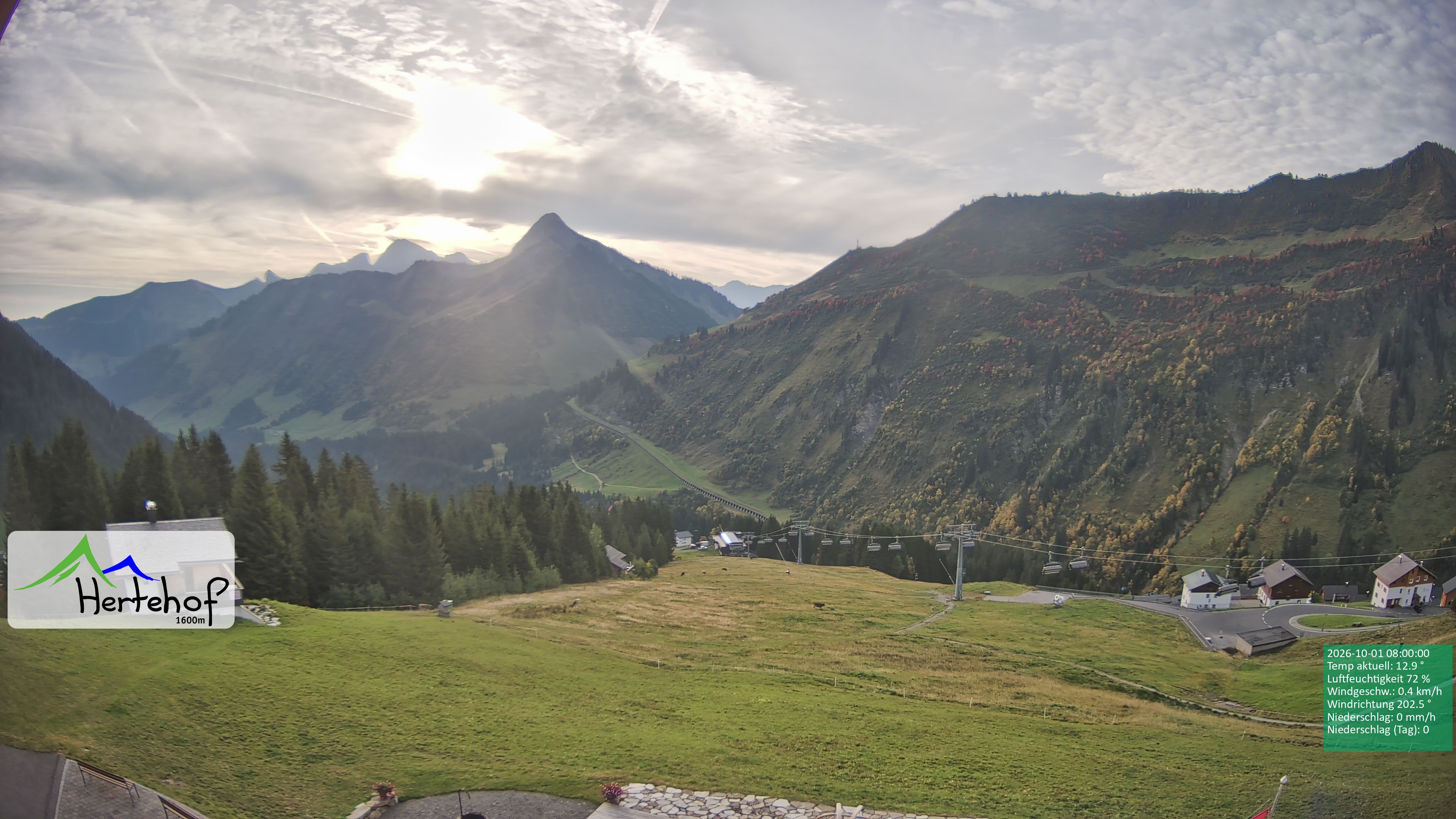 Archiv Foto Webcam Damüls: Blick vom Hertehof