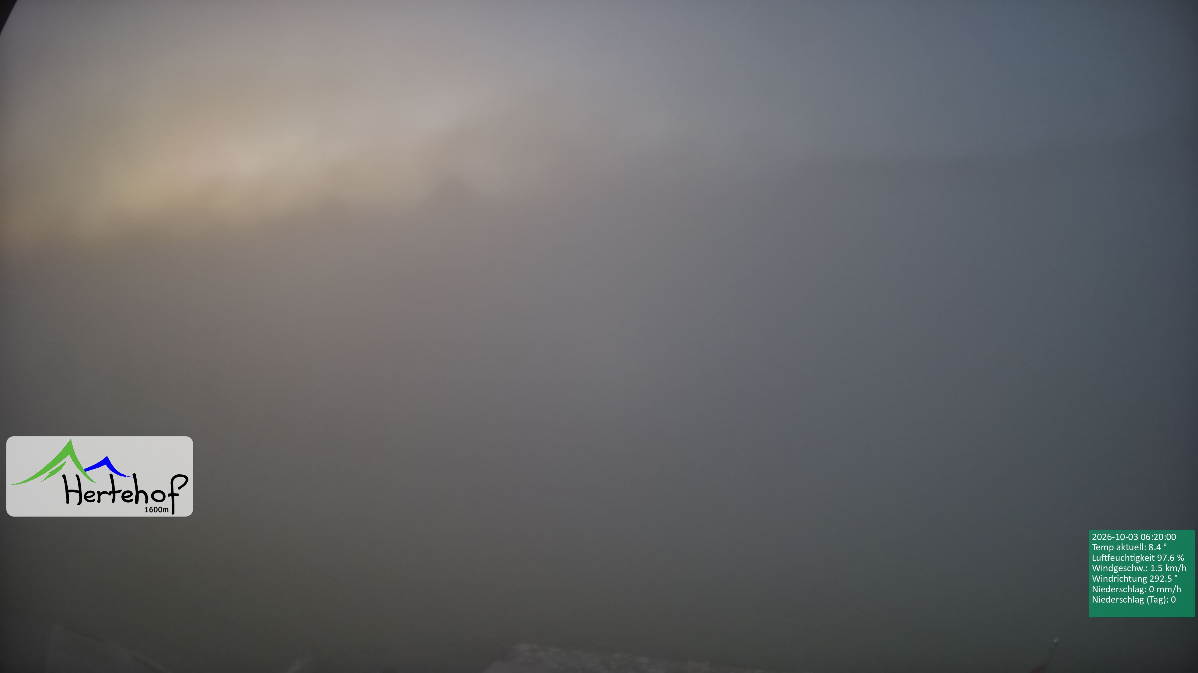 Archiv Foto Webcam Damüls: Blick vom Hertehof