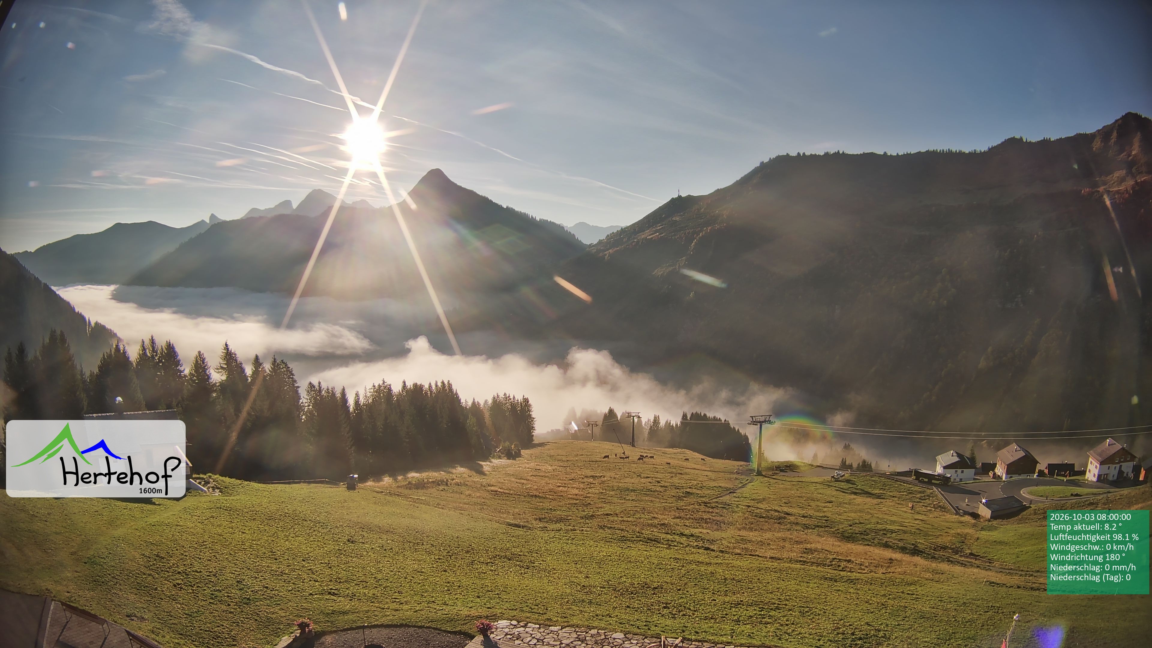 Archiv Foto Webcam Damüls: Blick vom Hertehof