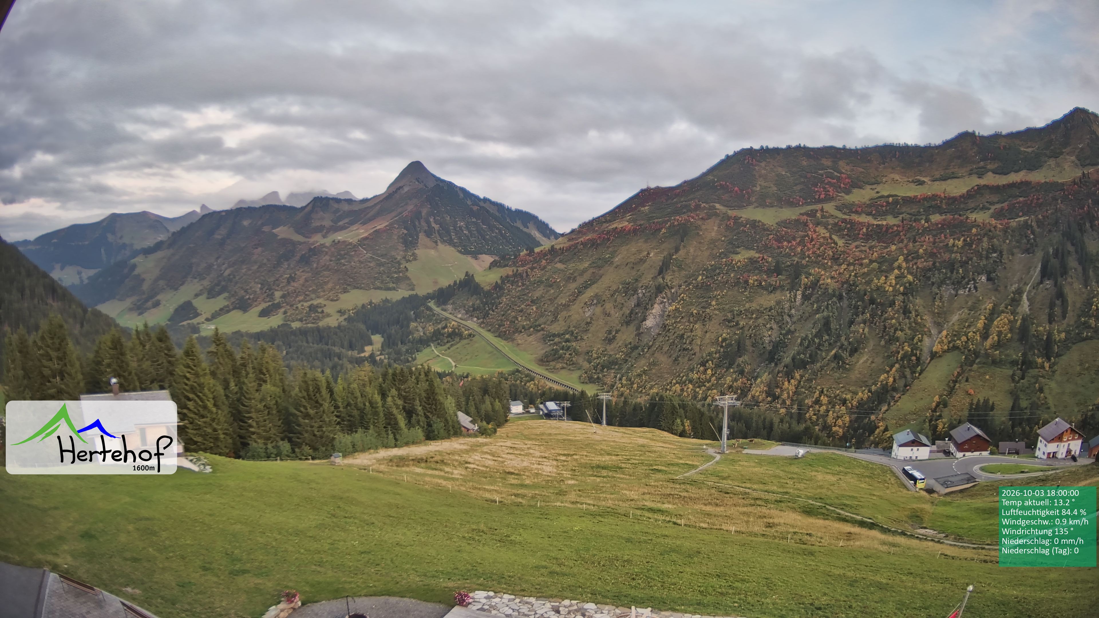 Archiv Foto Webcam Damüls: Blick vom Hertehof