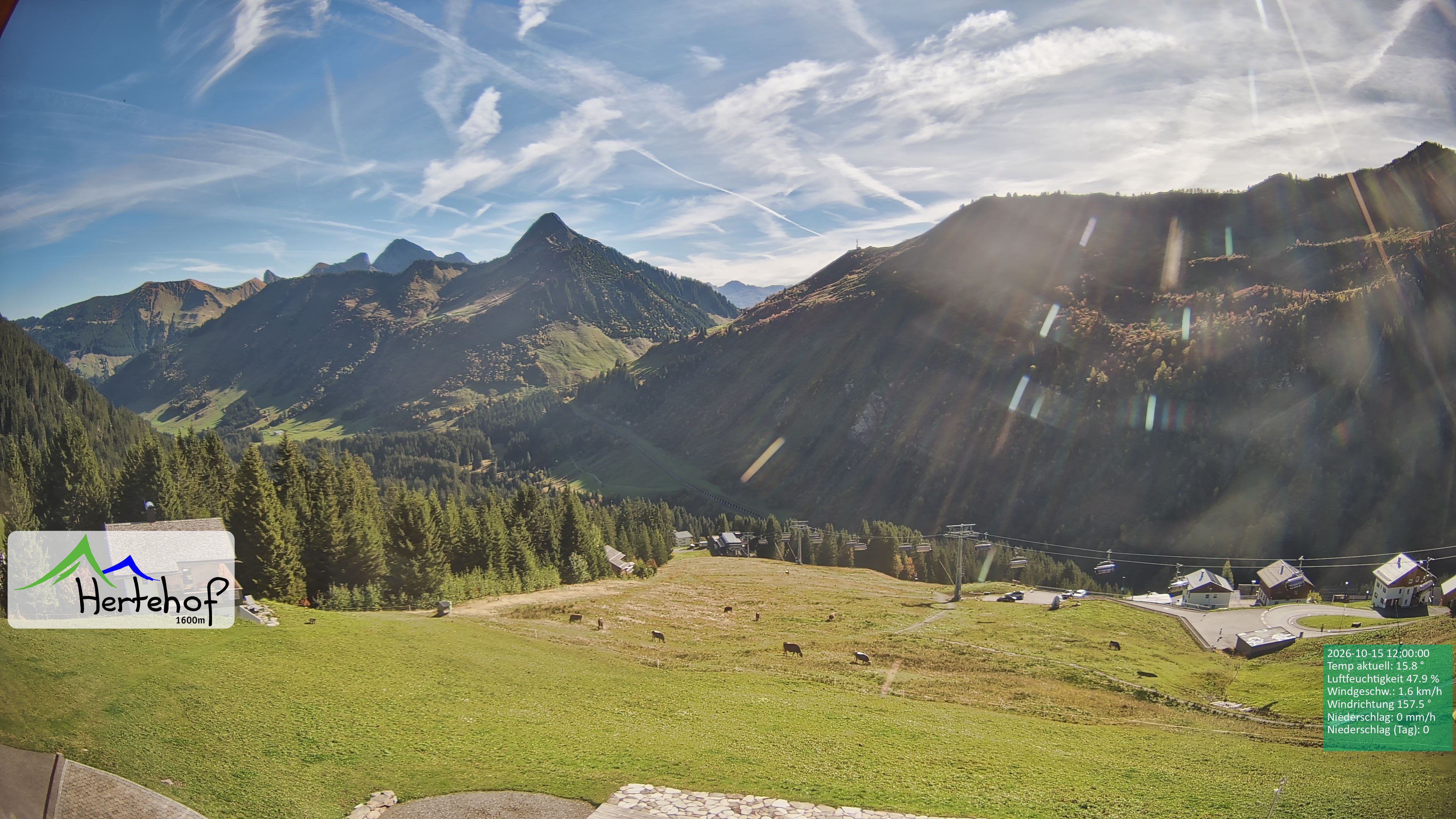 Archiv Foto Webcam Damüls: Blick vom Hertehof