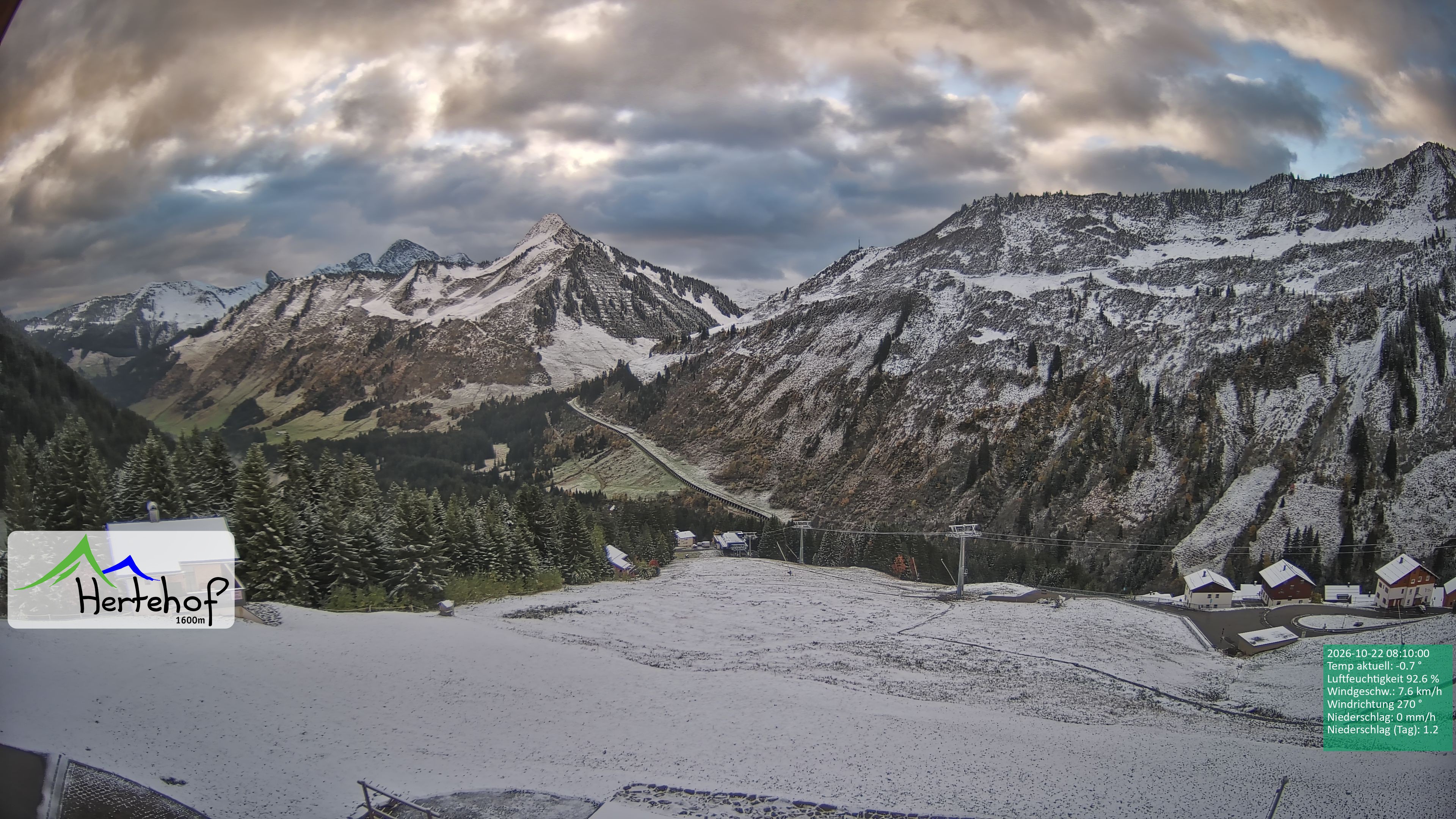 Archiv Foto Webcam Damüls: Blick vom Hertehof