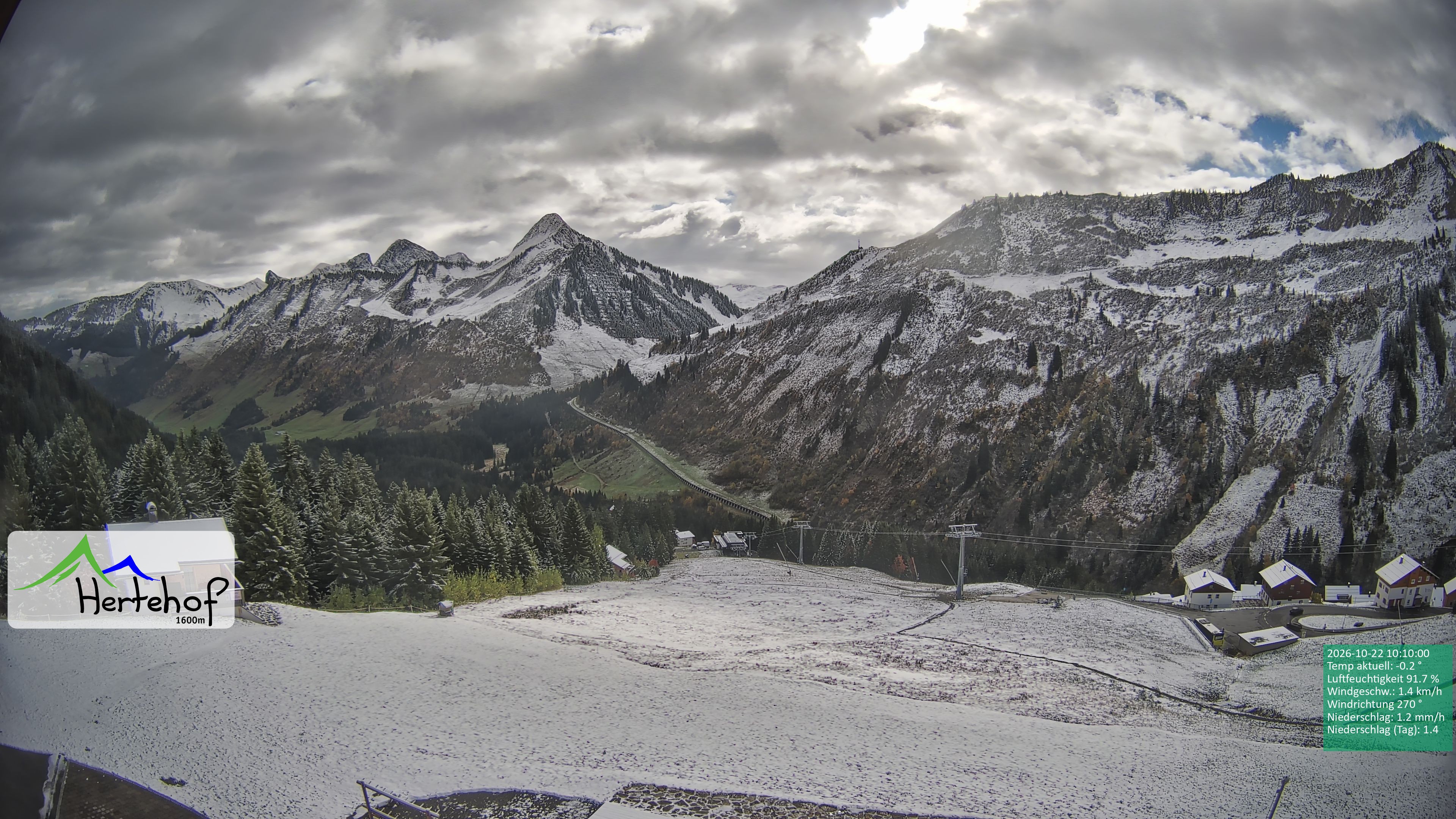 Archiv Foto Webcam Damüls: Blick vom Hertehof