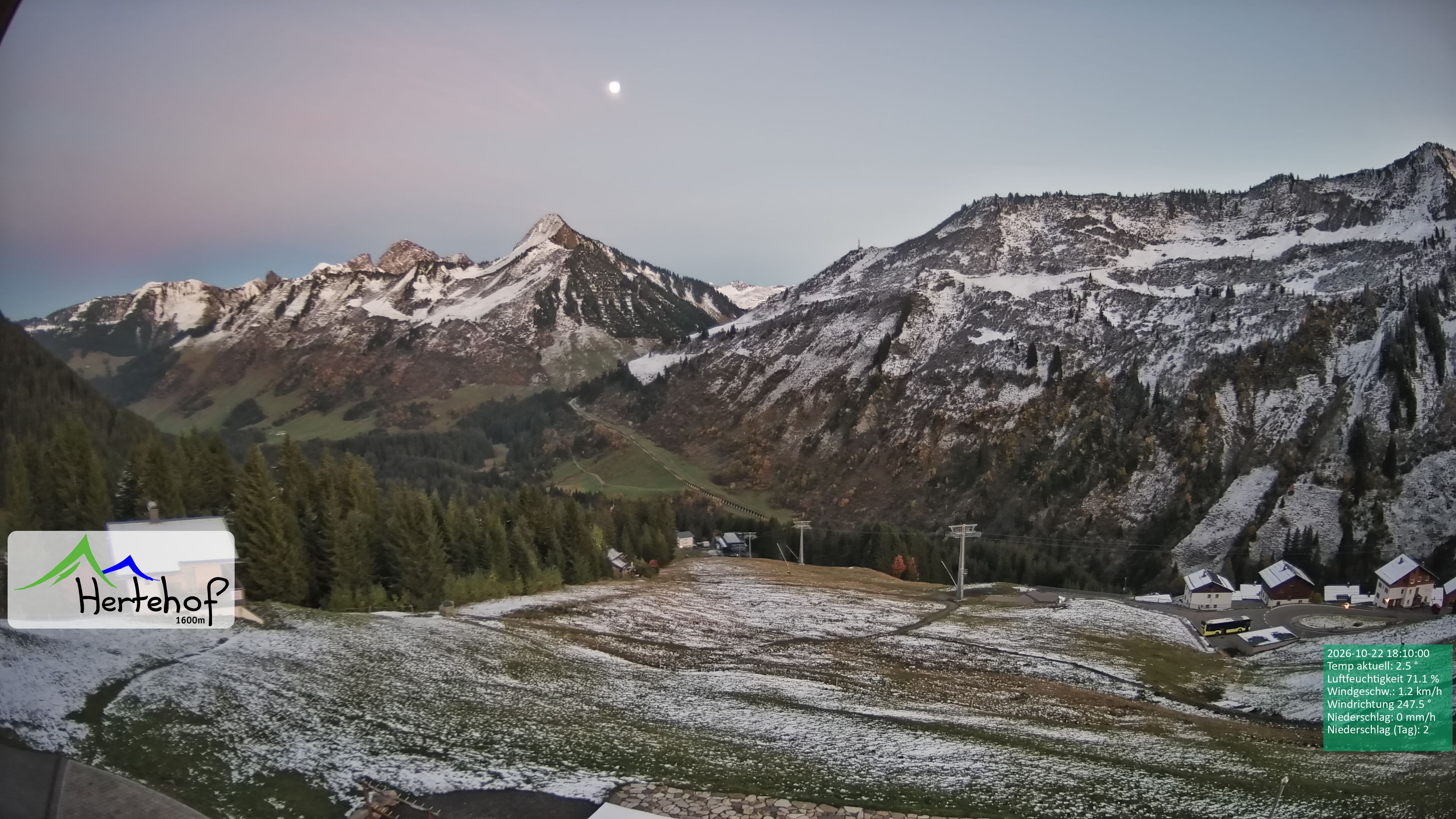 Archiv Foto Webcam Damüls: Blick vom Hertehof