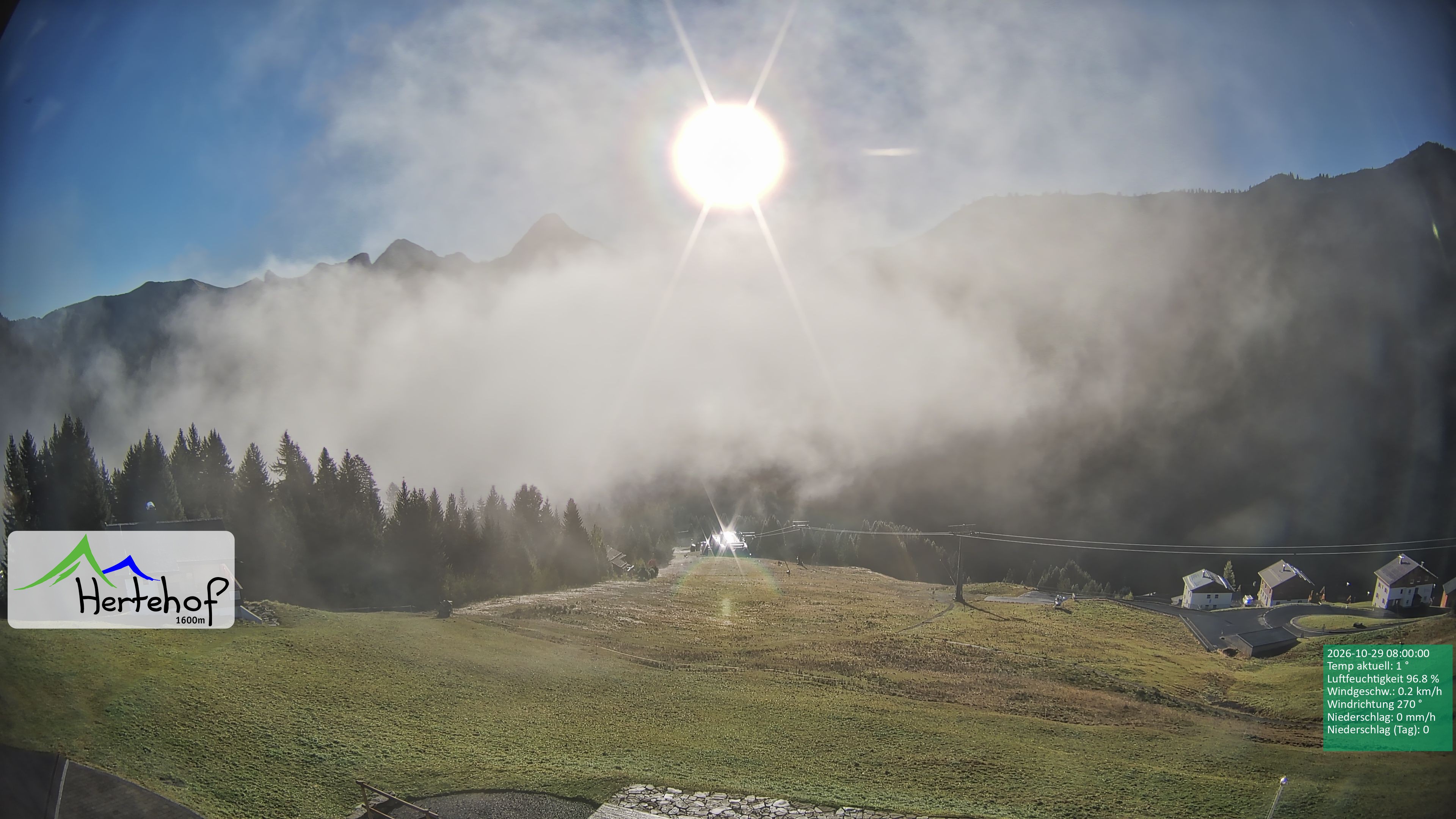 Archiv Foto Webcam Damüls: Blick vom Hertehof