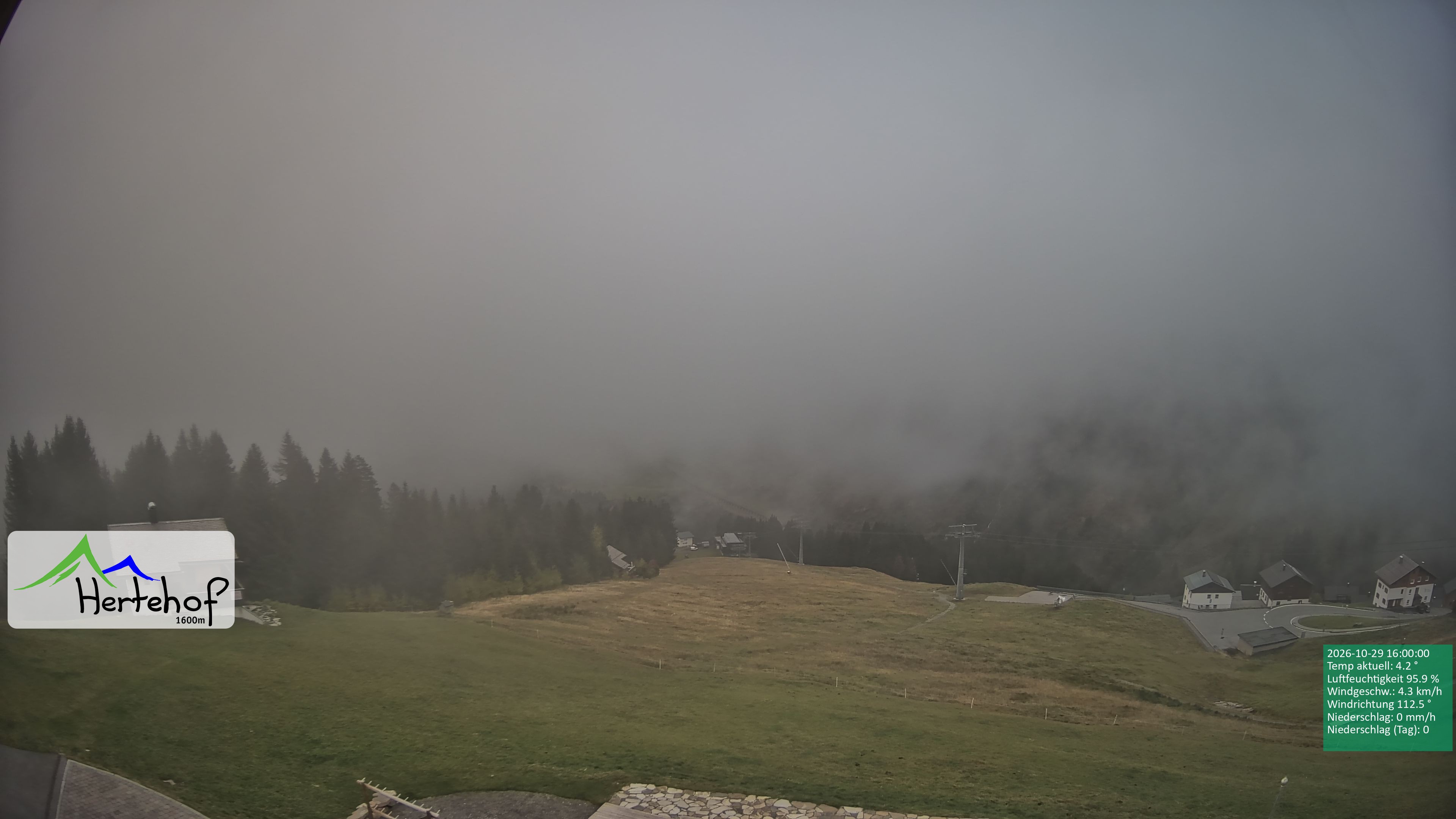 Archiv Foto Webcam Damüls: Blick vom Hertehof