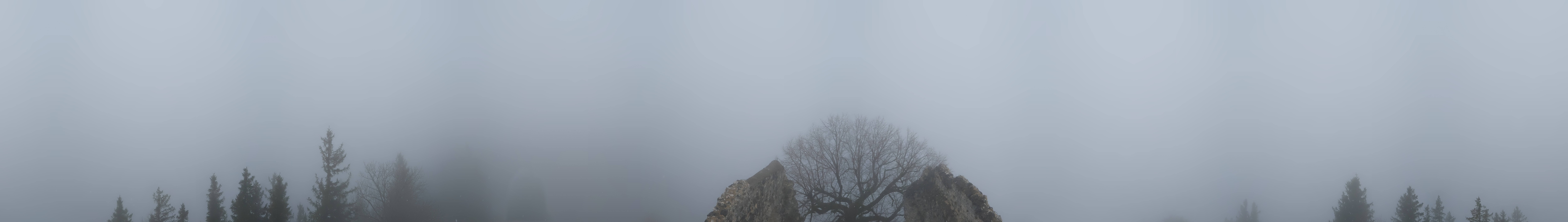 Archiv Foto Webcam Ausblick Burgruine Falkenstein