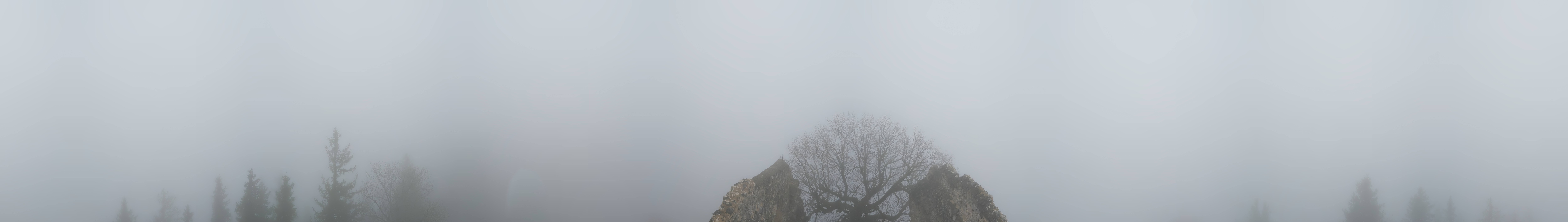 Archiv Foto Webcam Ausblick Burgruine Falkenstein