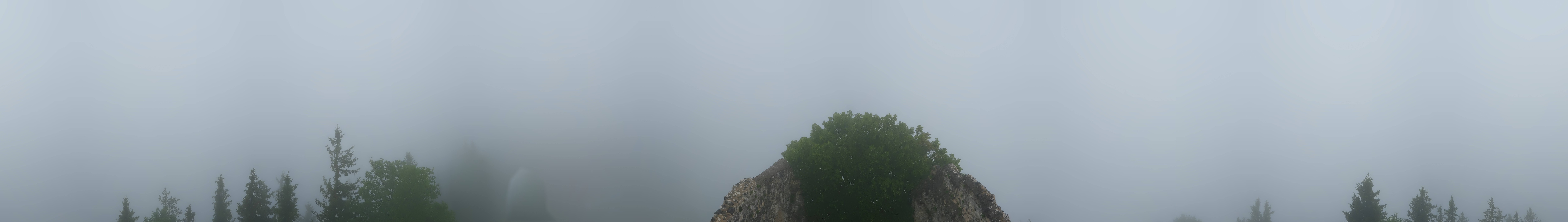 Archiv Foto Webcam Ausblick Burgruine Falkenstein