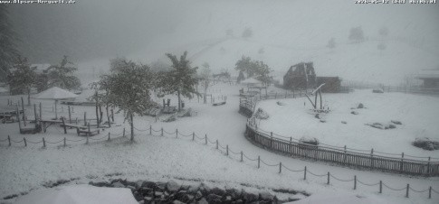 Archiv Foto Webcam Alpsee-Bergwelt: Spielplatz