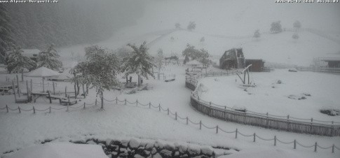 Archiv Foto Webcam Alpsee-Bergwelt: Spielplatz
