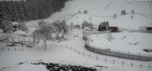 Archiv Foto Webcam Alpsee-Bergwelt: Spielplatz