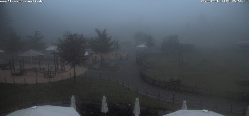 Archiv Foto Webcam Alpsee-Bergwelt: Spielplatz