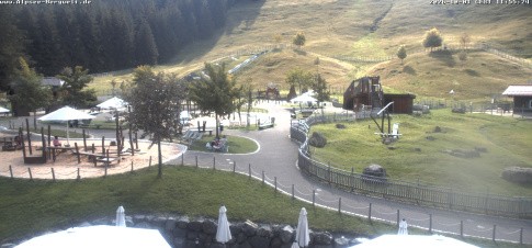 Archiv Foto Webcam Alpsee-Bergwelt: Spielplatz