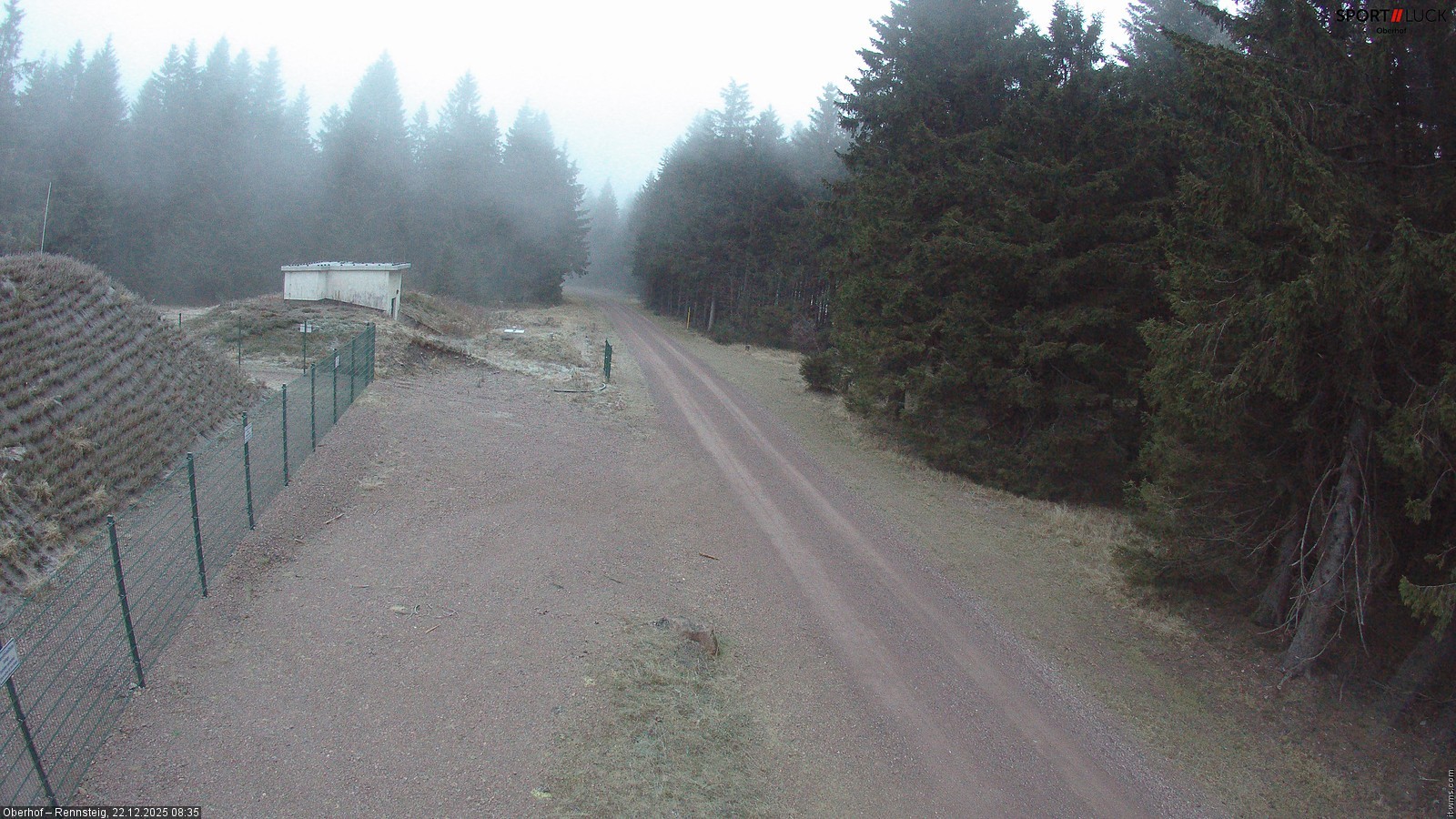 Archiv Foto Webcam Stein 16 am Wanderweg Rennsteig