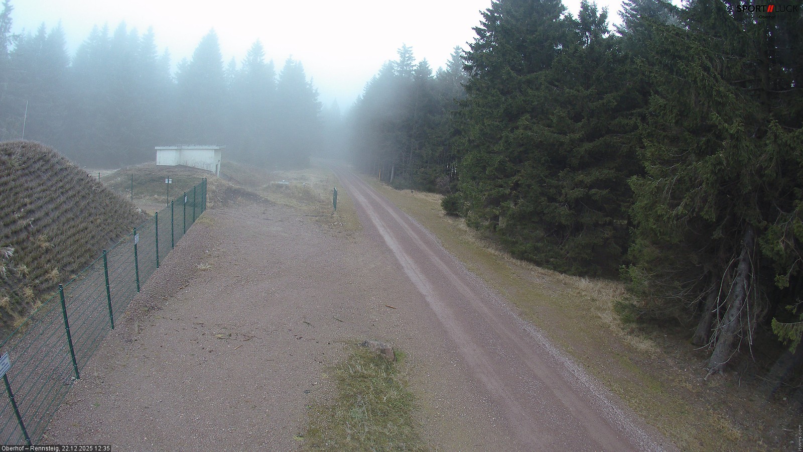 Archiv Foto Webcam Stein 16 am Wanderweg Rennsteig