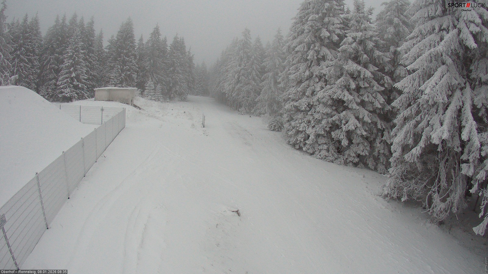 Archiv Foto Webcam Stein 16 am Wanderweg Rennsteig