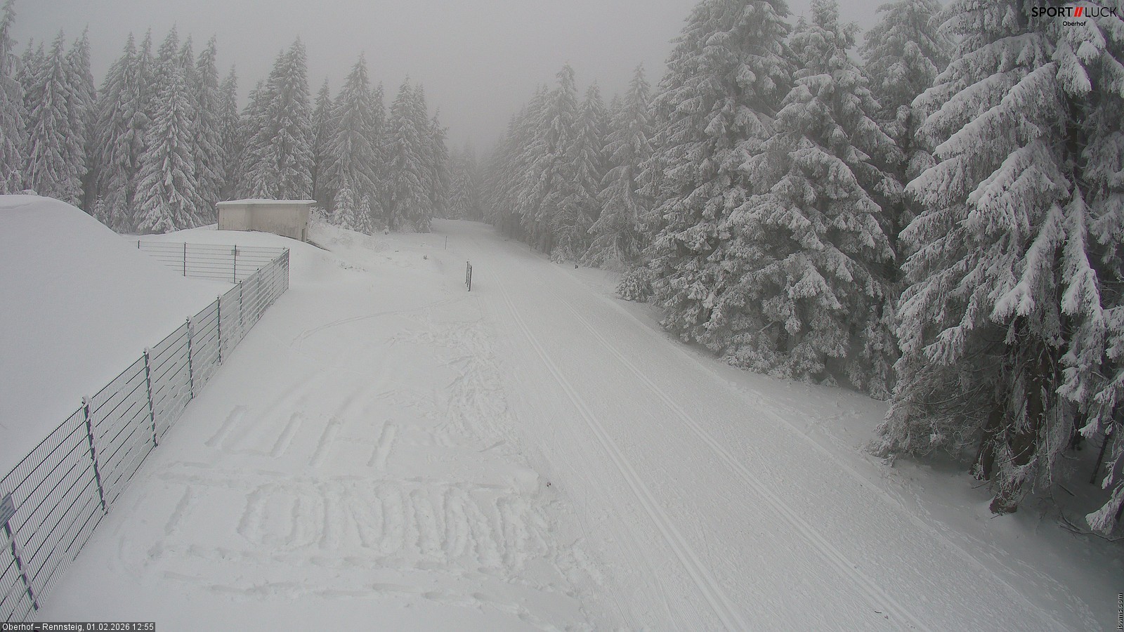 Archiv Foto Webcam Stein 16 am Wanderweg Rennsteig