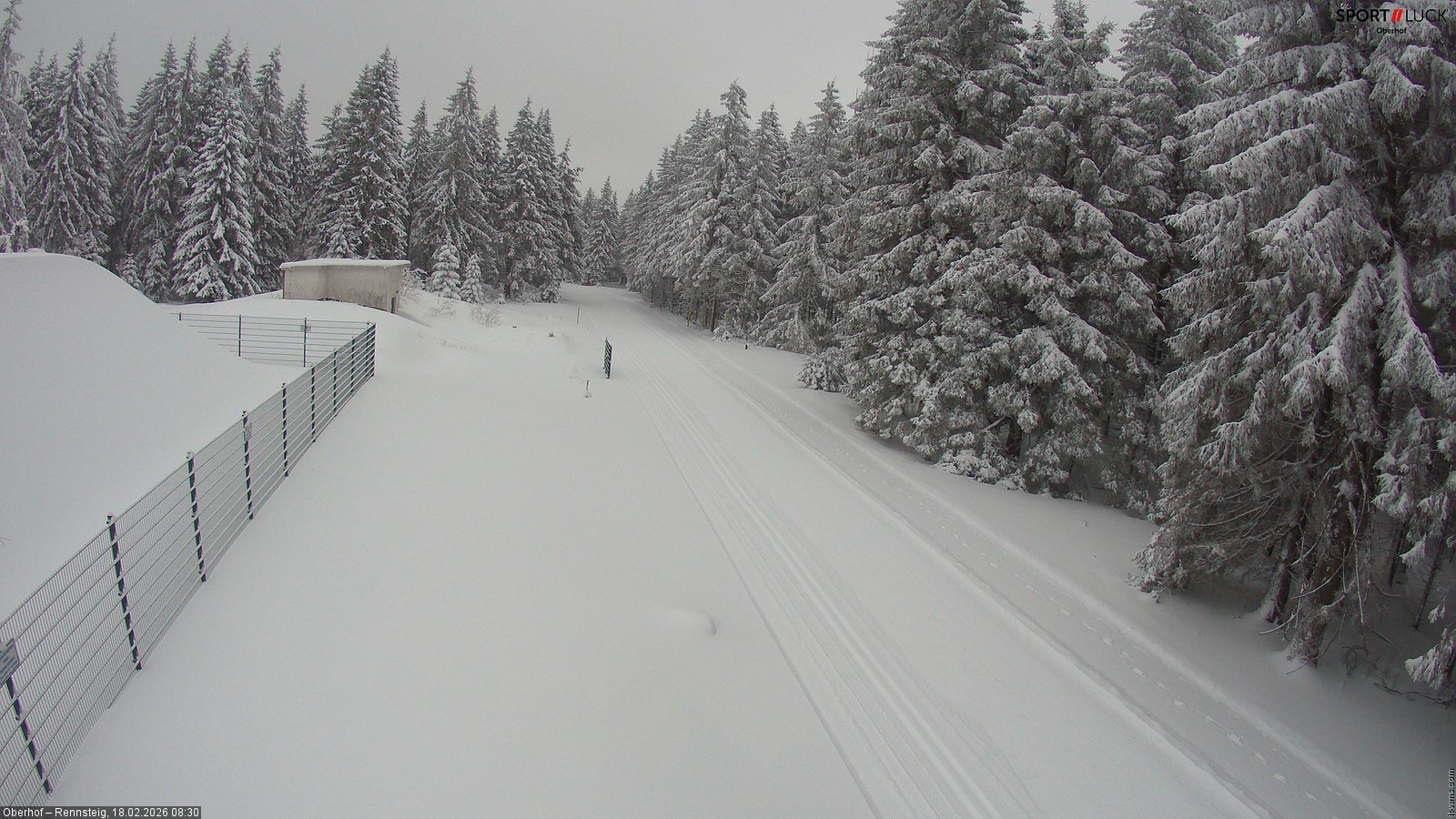 Archiv Foto Webcam Stein 16 am Wanderweg Rennsteig