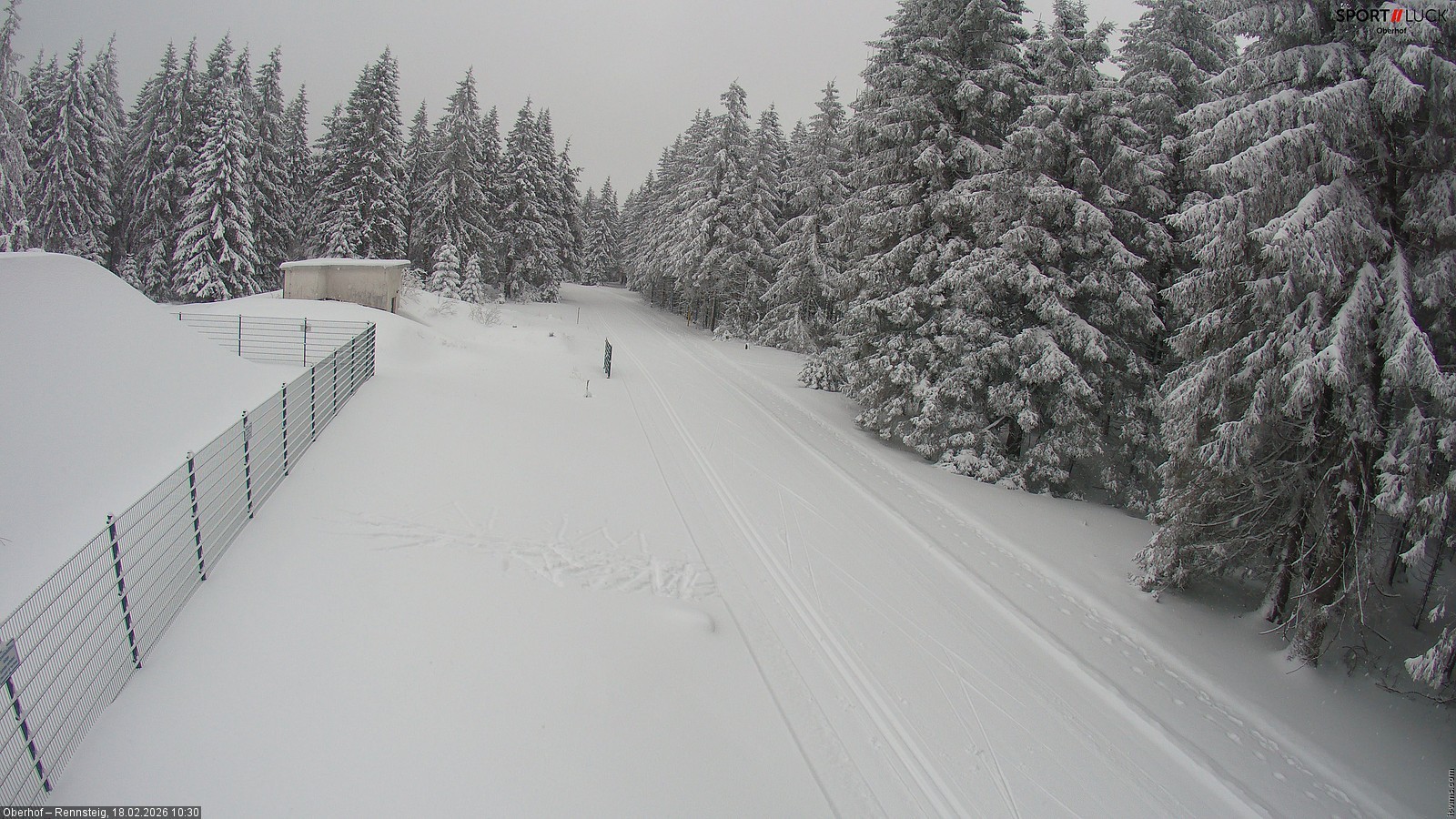 Archiv Foto Webcam Stein 16 am Wanderweg Rennsteig